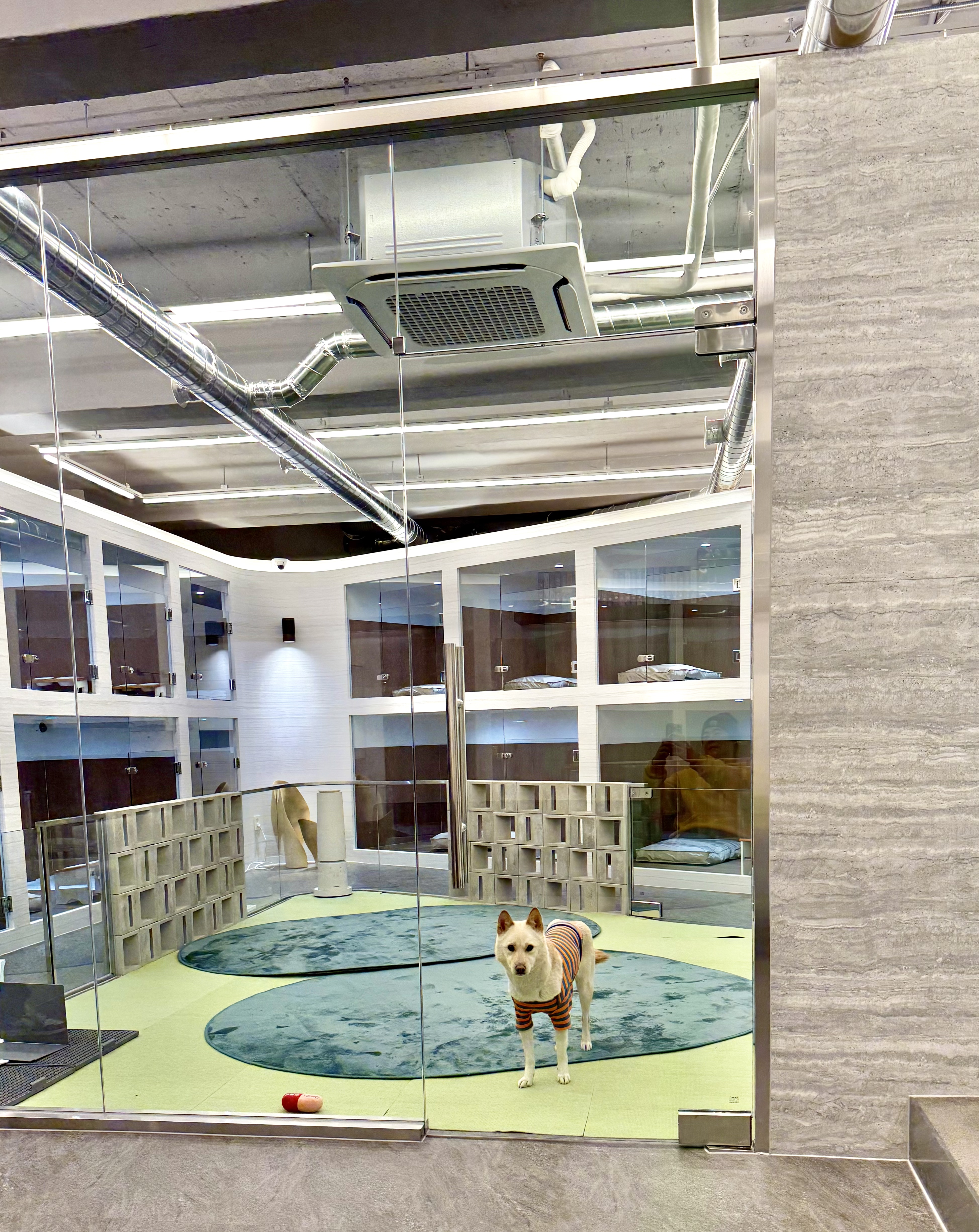 서울테일즈 대표 이미지