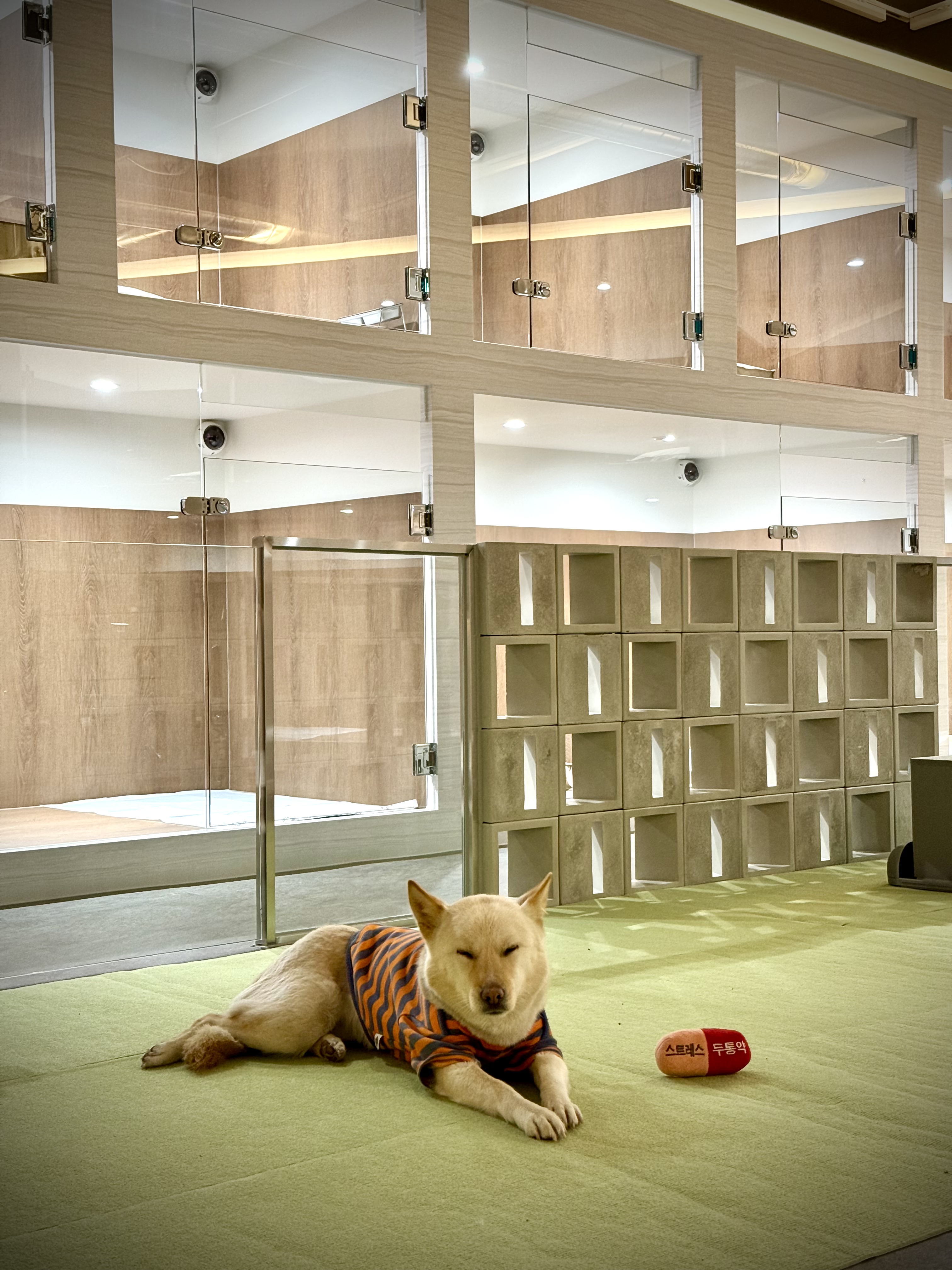 서울테일즈 대표 이미지