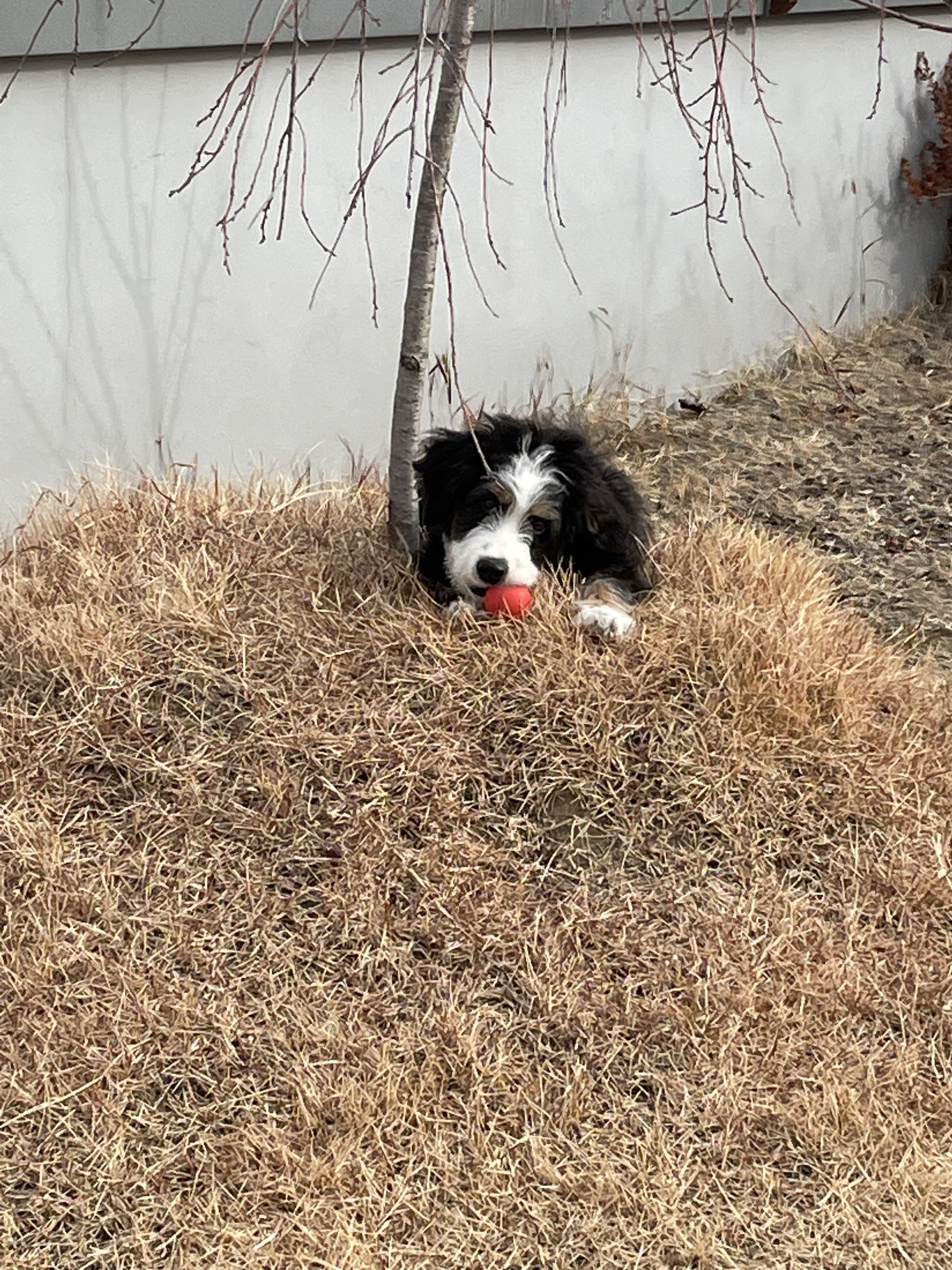 해피웰바우 대표 이미지