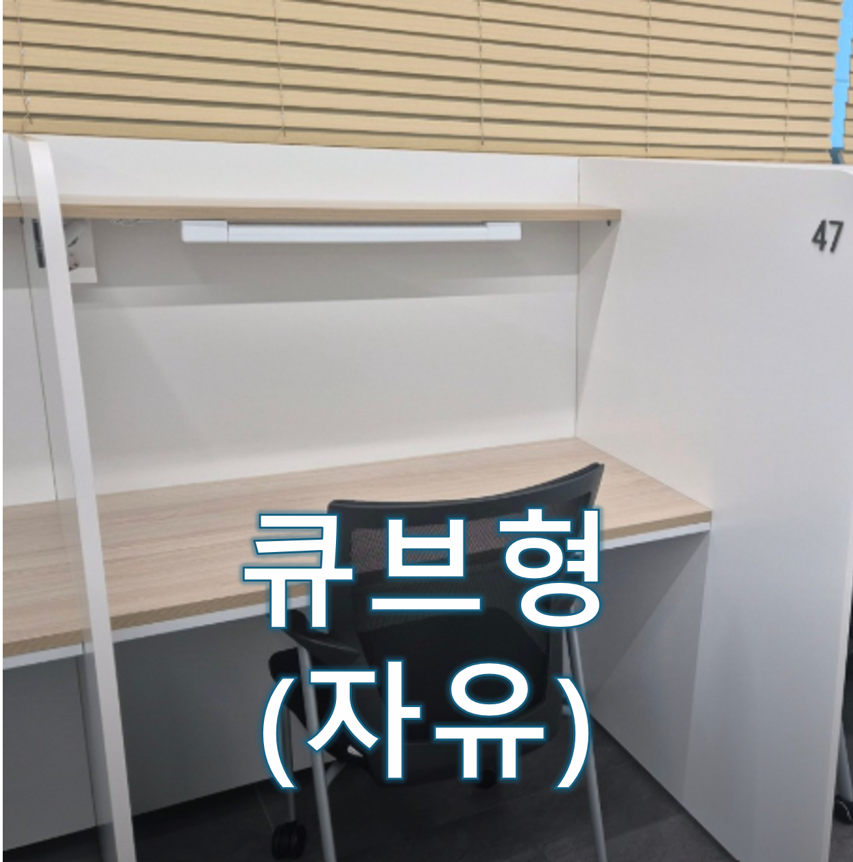 업체사진