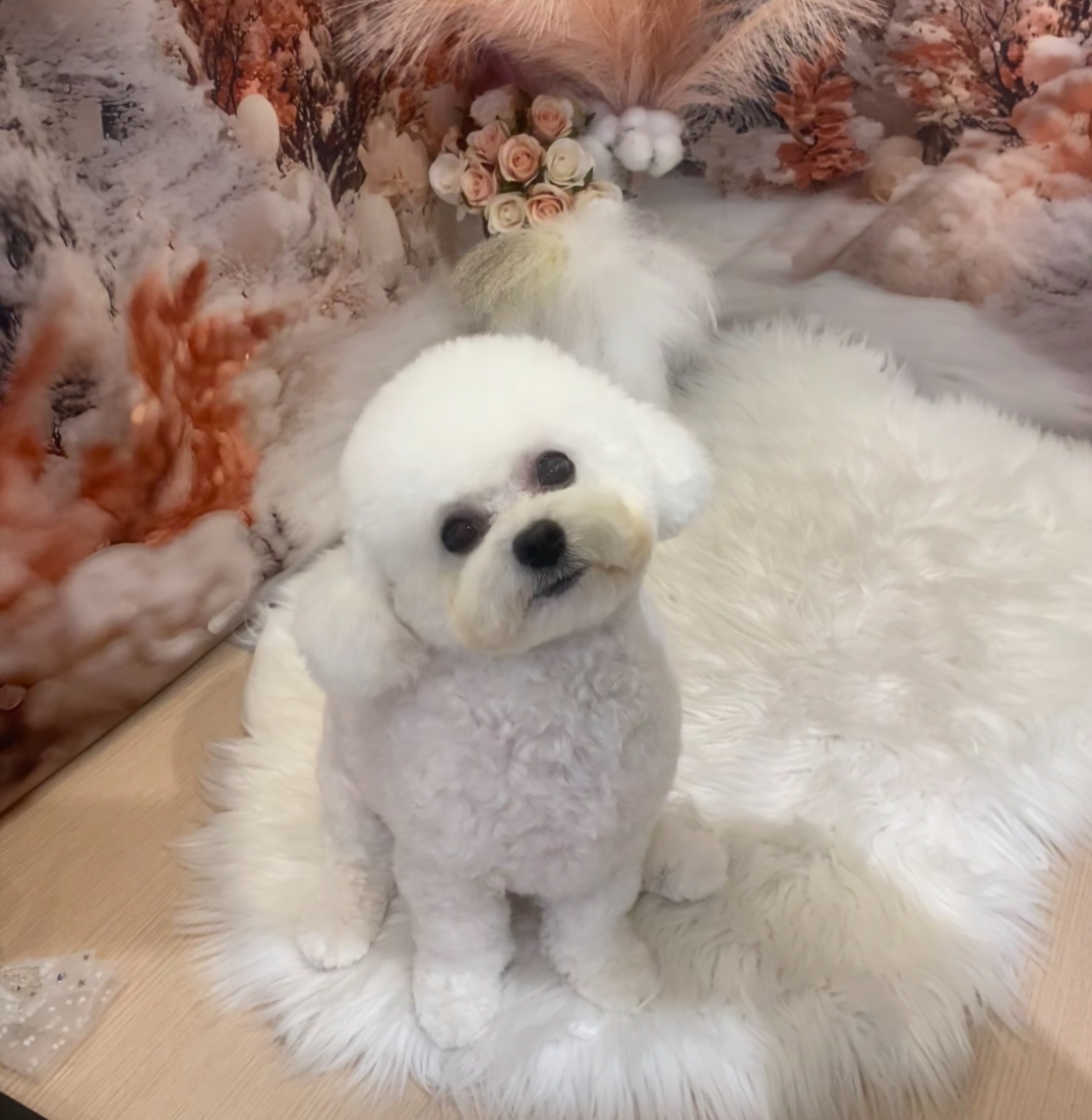 사랑옵다 대표 이미지