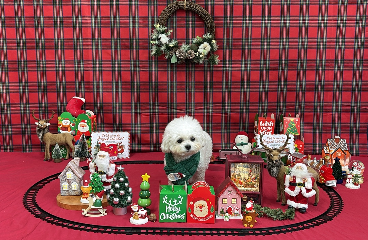 프리독스 대표 이미지