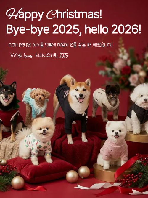 티파니가든 애견카페 애견유치원 애견호텔