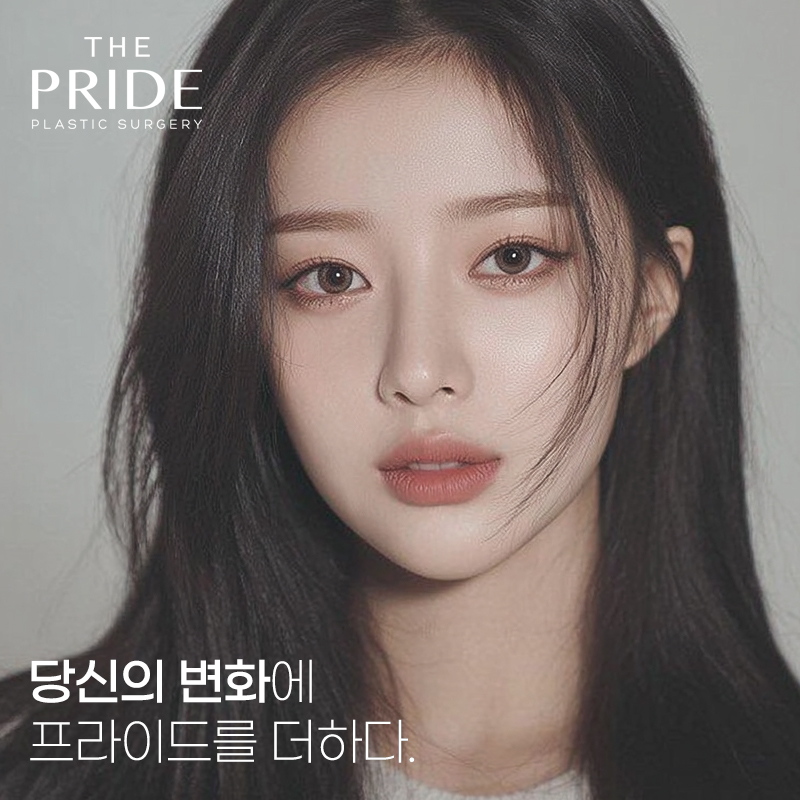 더프라이드성형외과 전경