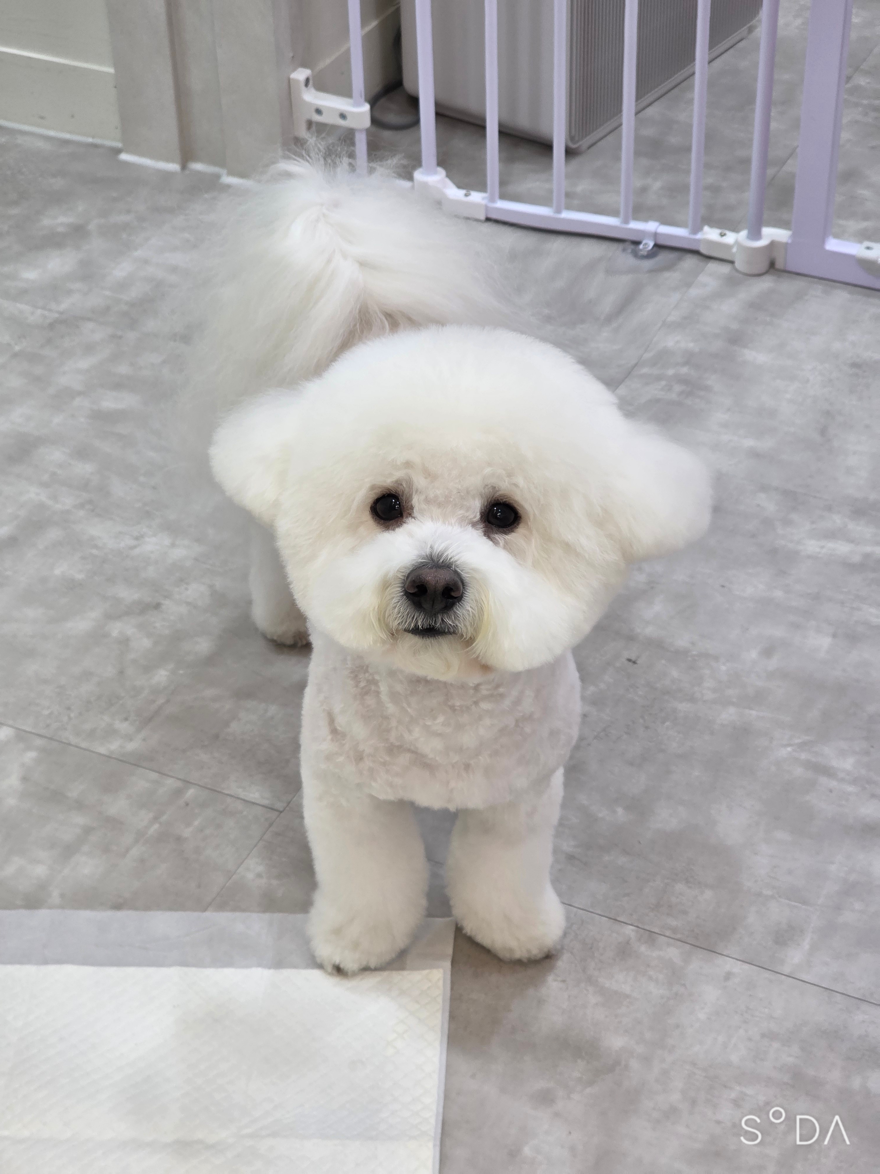 트리밍마인드 대표 이미지