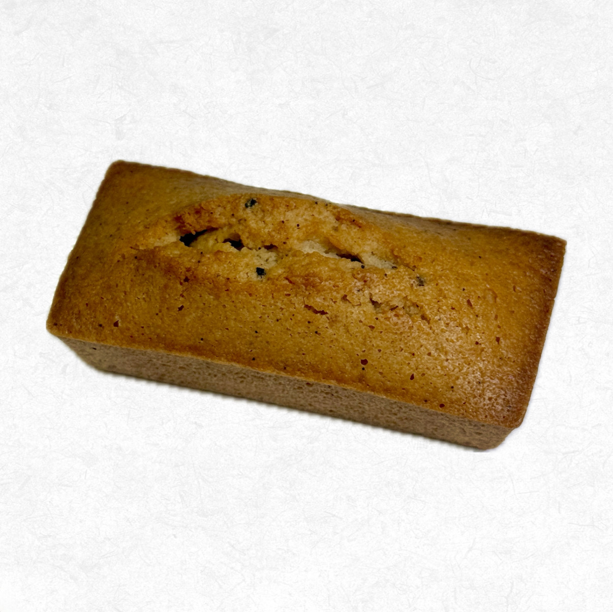 카페단청 충청 애견맛집