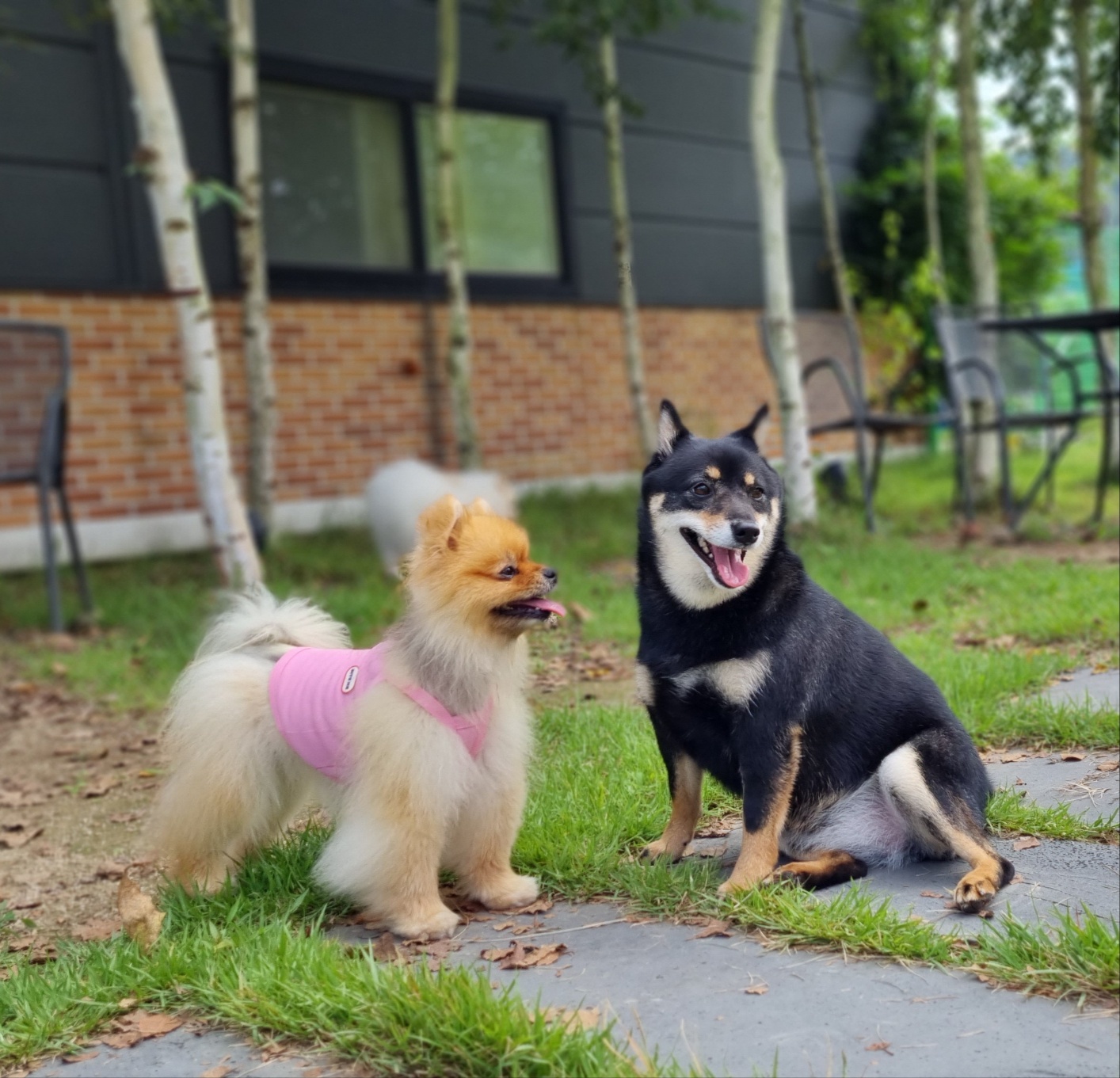 티파니가든 대표 이미지