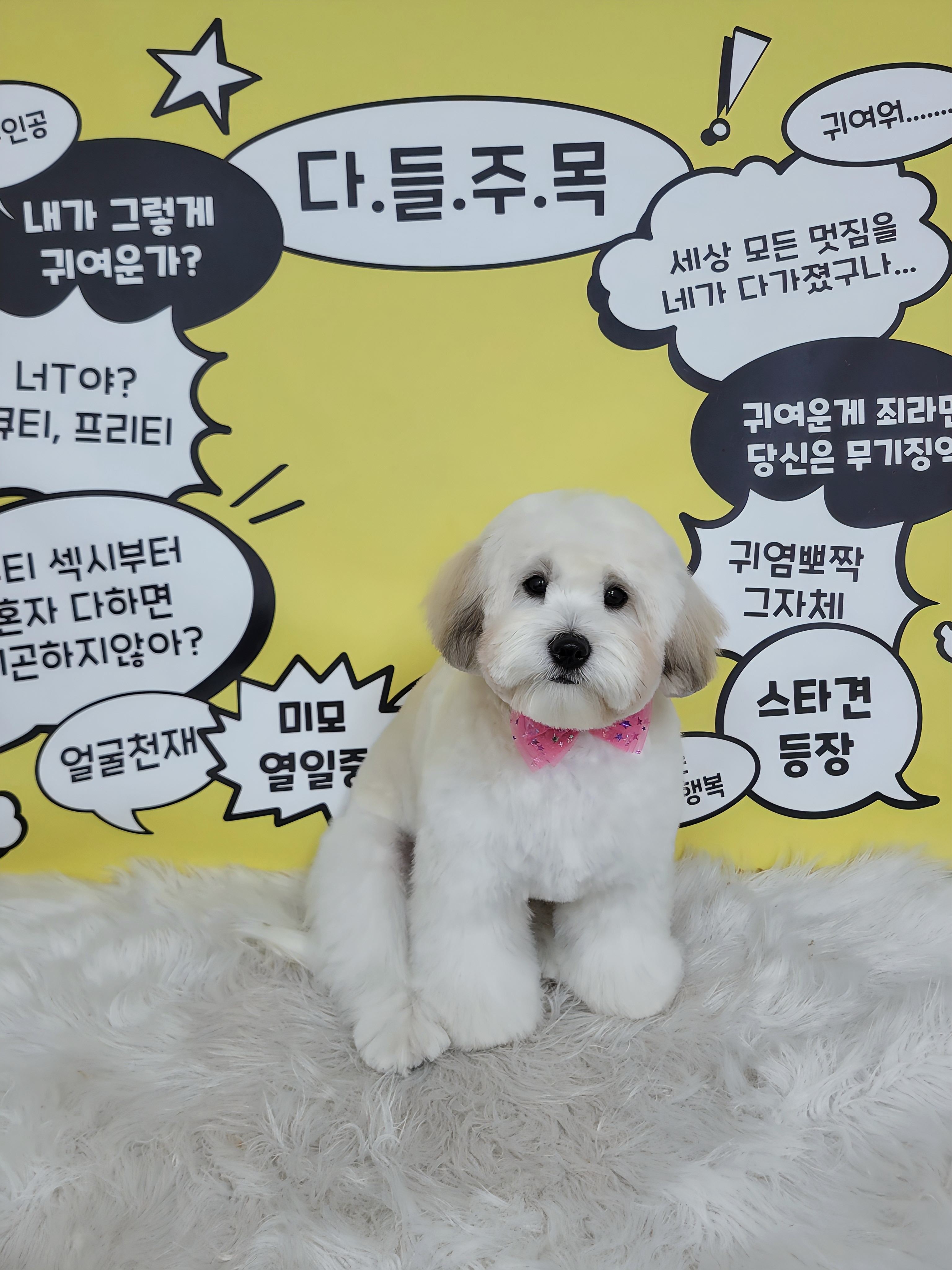 멍야옹실 대표 이미지