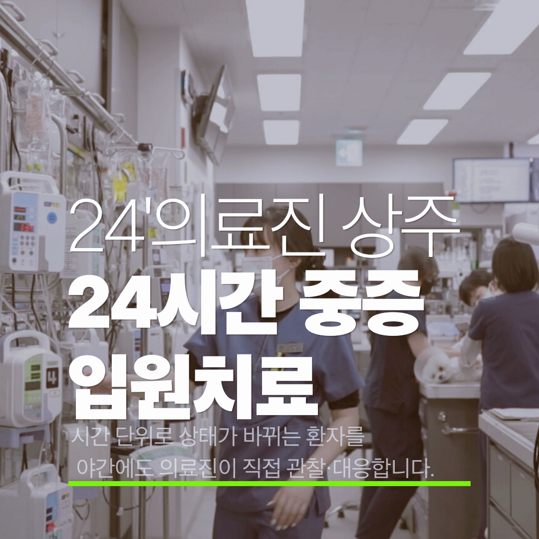 아프리카 동물의료센터 대표 이미지