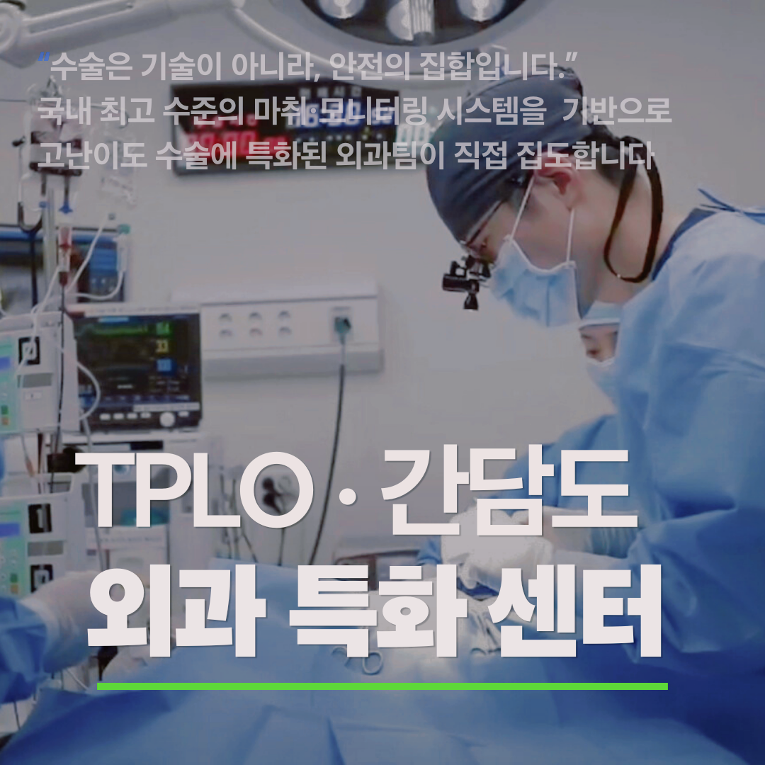 아프리카 동물의료센터 이미지
