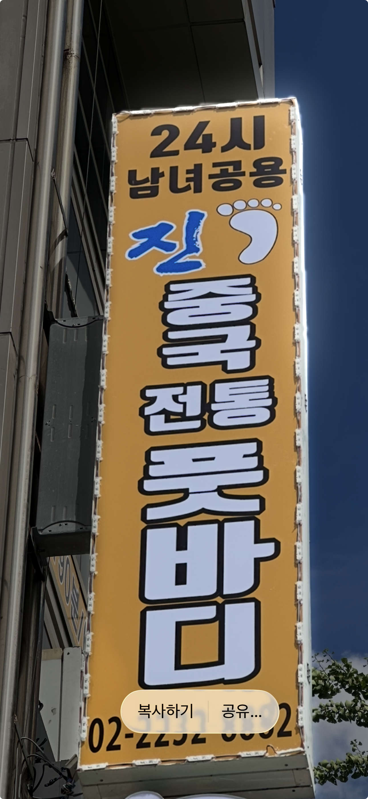 진 중국전통마사지