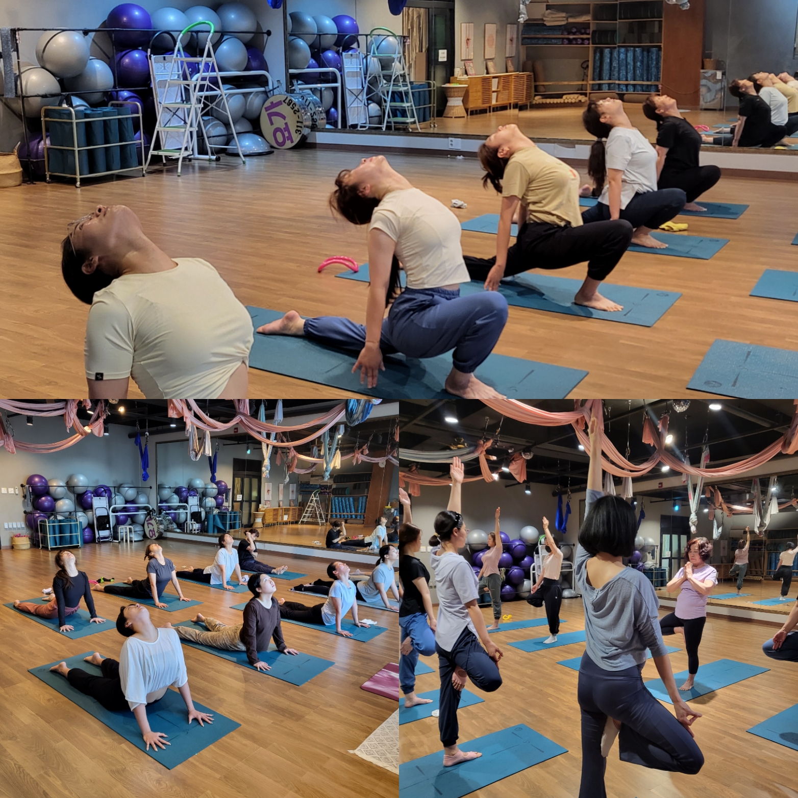 릴라요가 대표 이미지