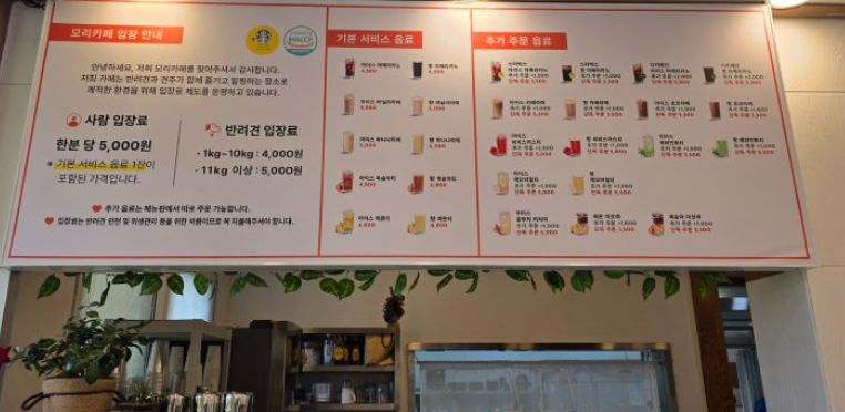 모리카페