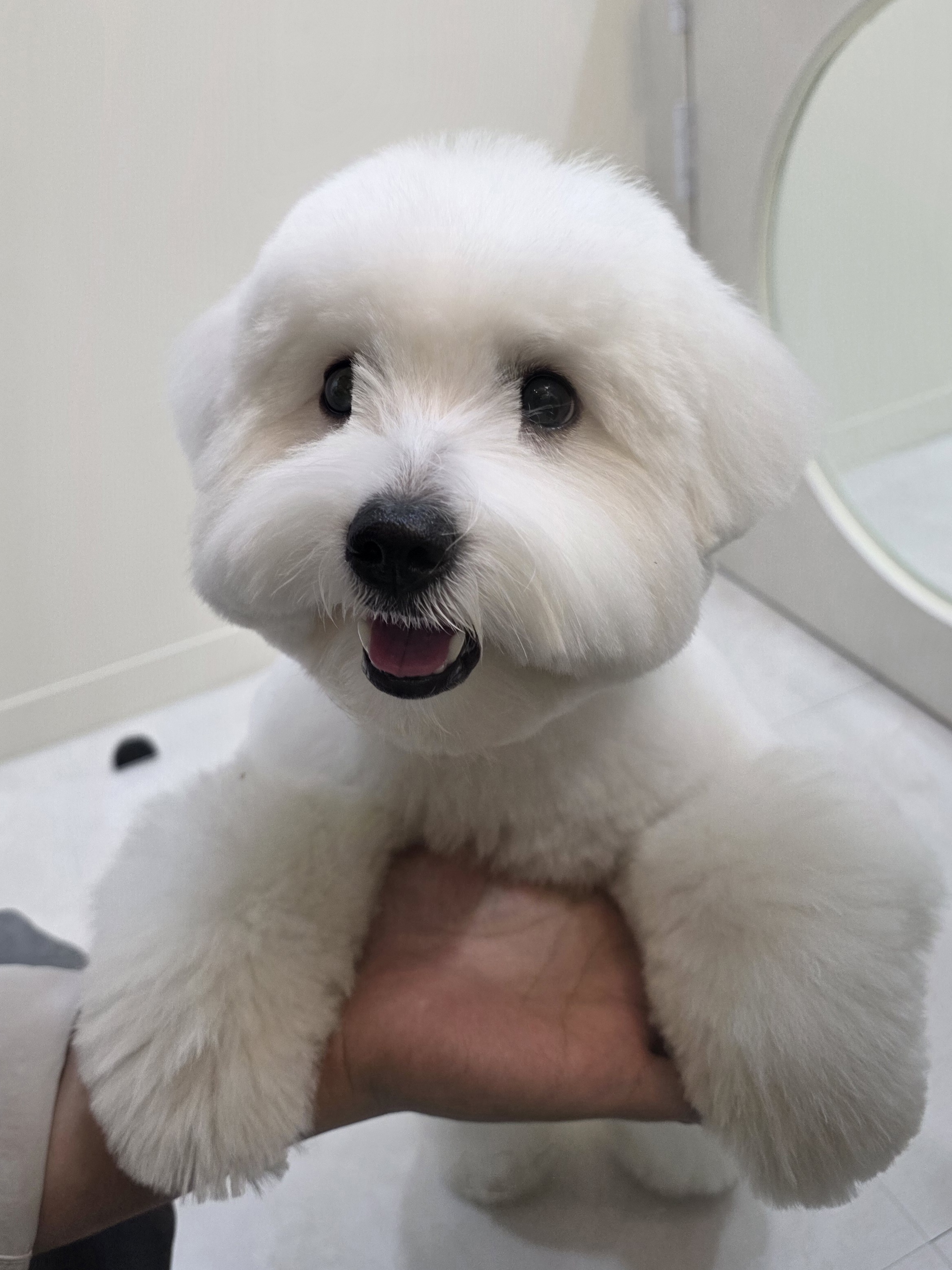 트리밍마인드 대표 이미지