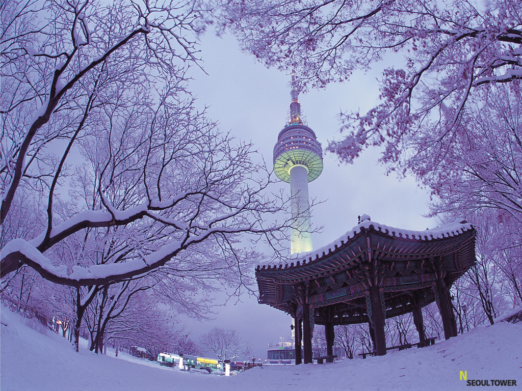 N서울타워 (N Seoul Tower), photo 7