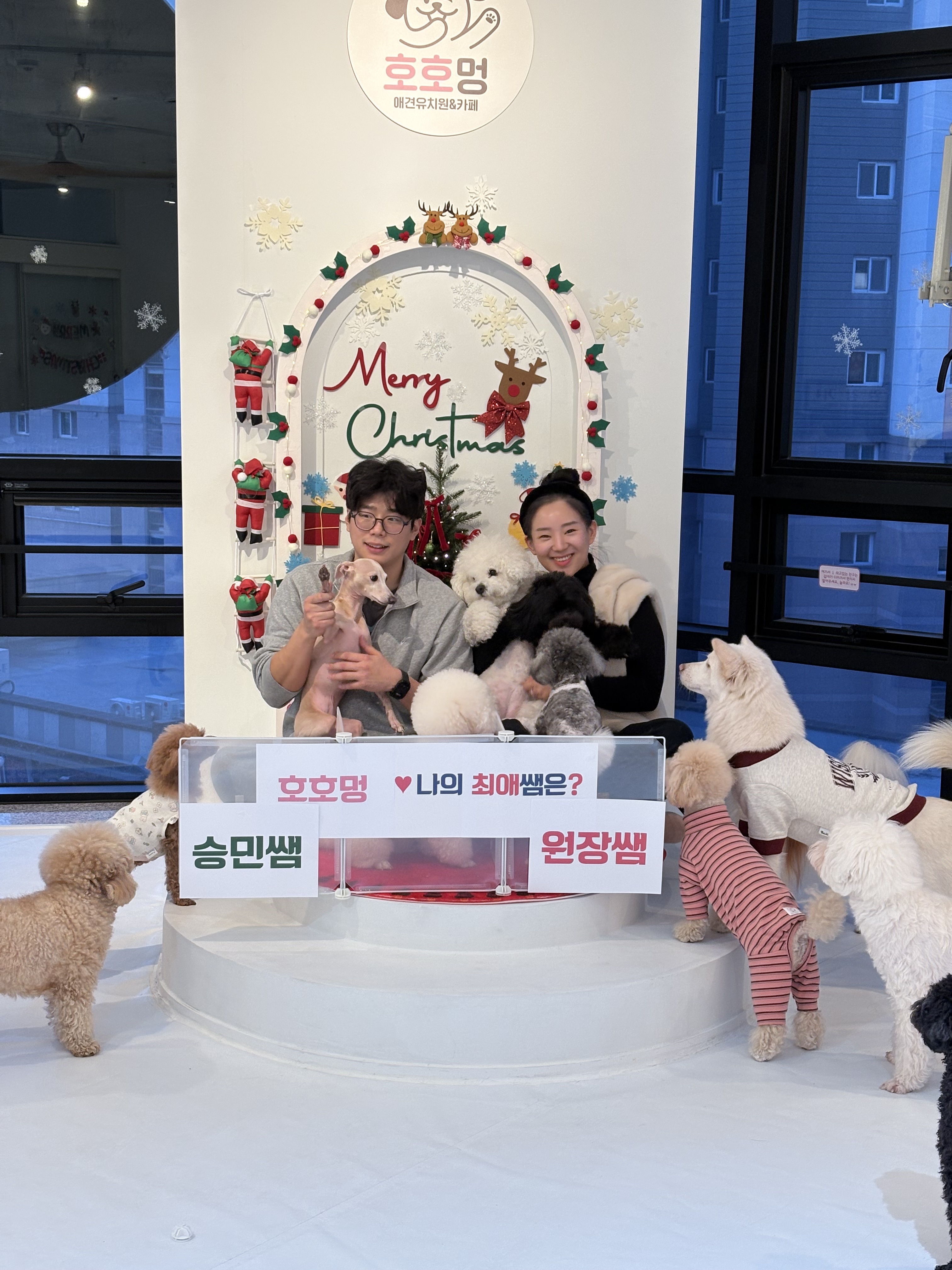 호호멍 대표 이미지