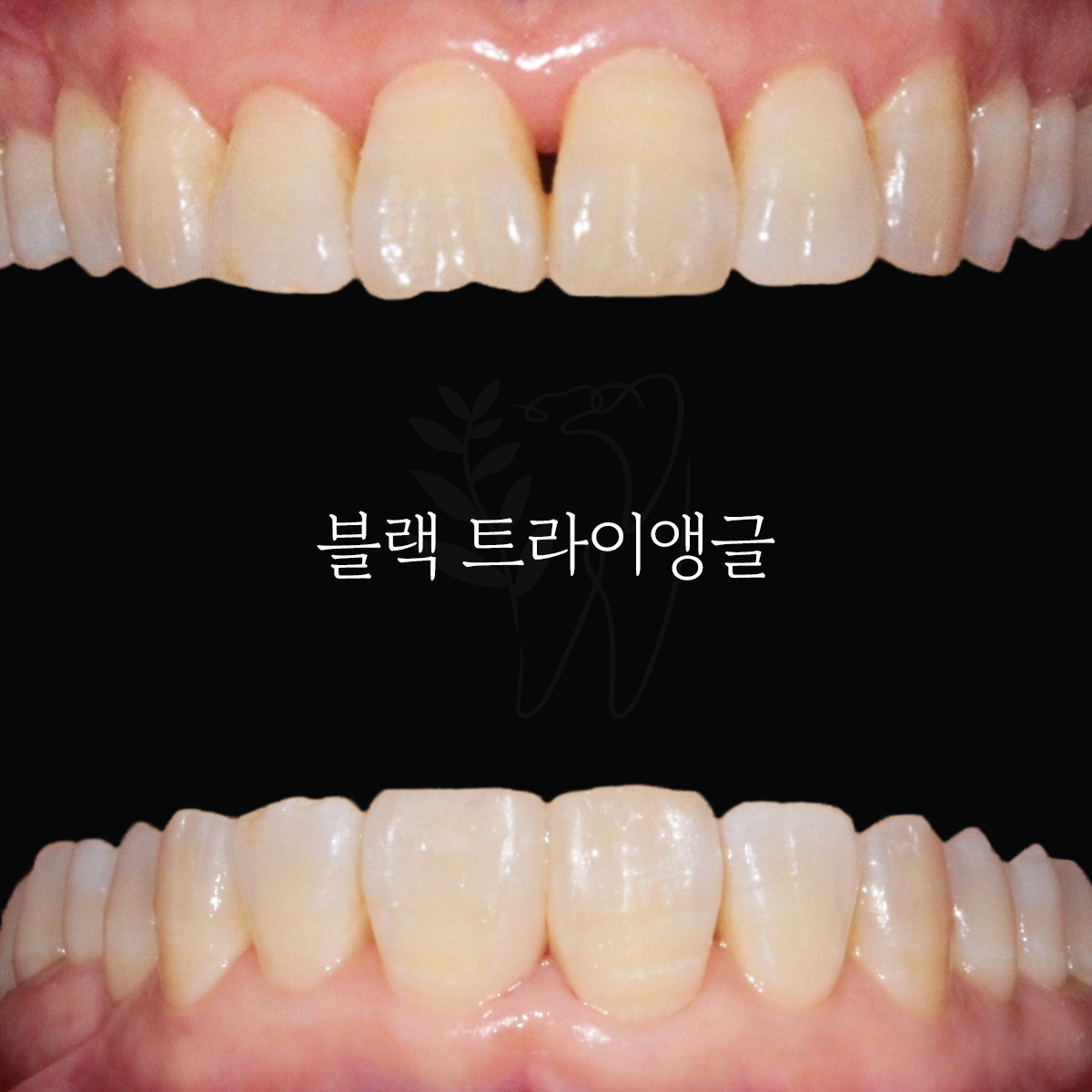 세이지치과 대표 이미지