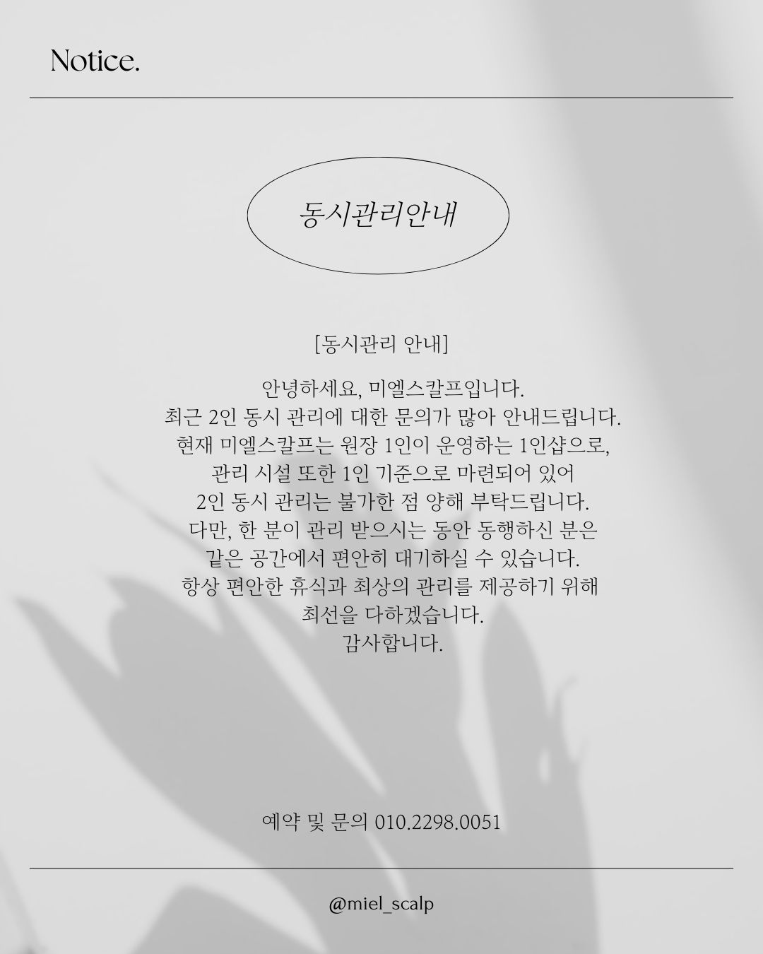 미엘스칼프 photo 7