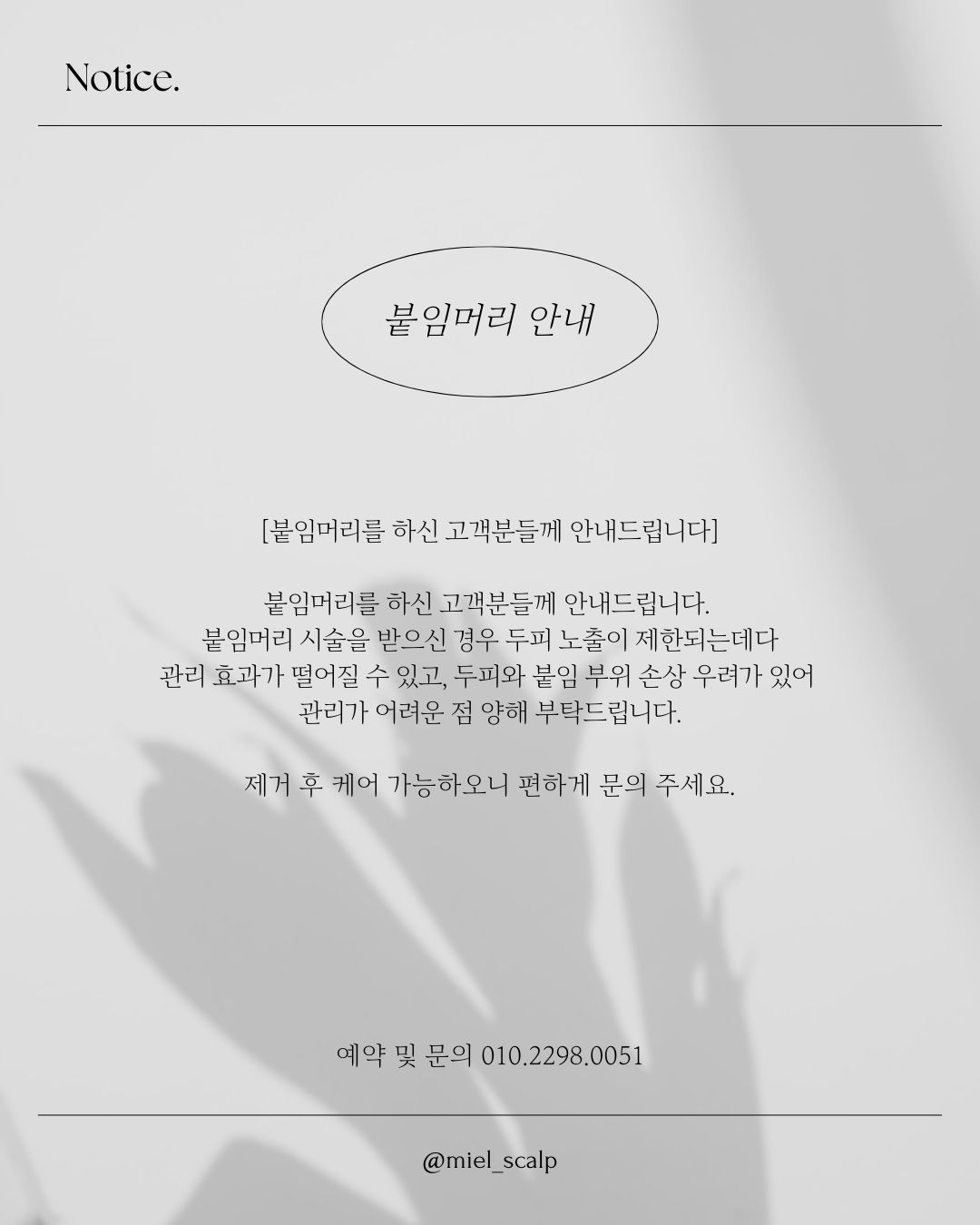 미엘스칼프 대표 이미지