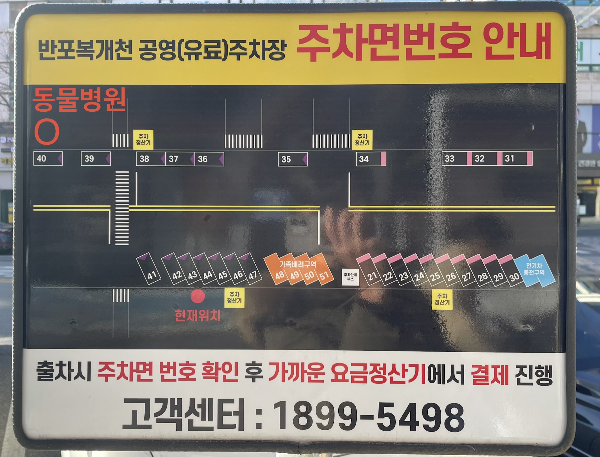 세연동물치과 대표 이미지