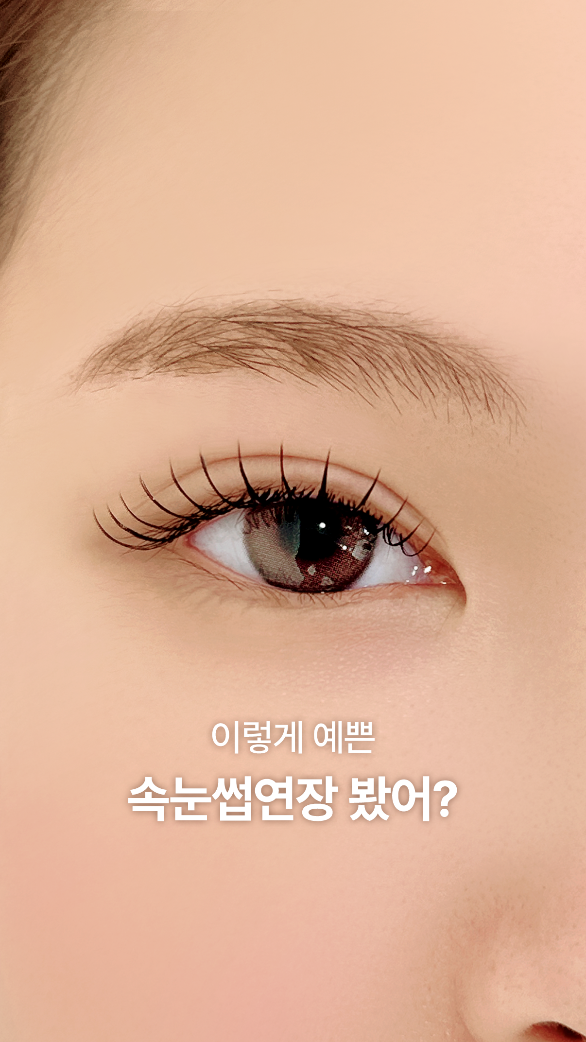 워니컬 대표 이미지