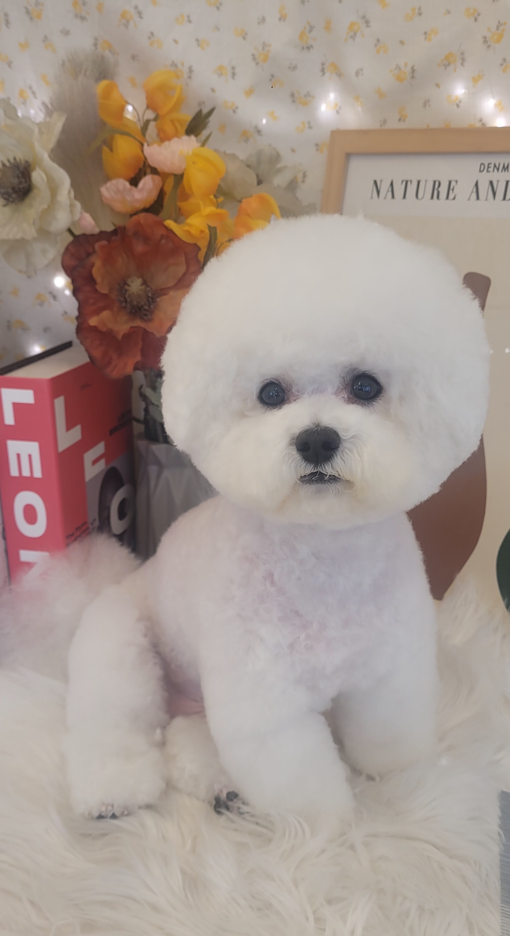 사랑옵다 대표 이미지