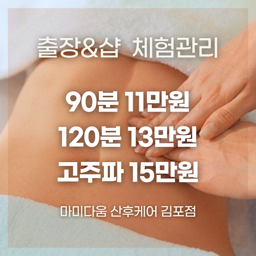 마미다움 대표 이미지