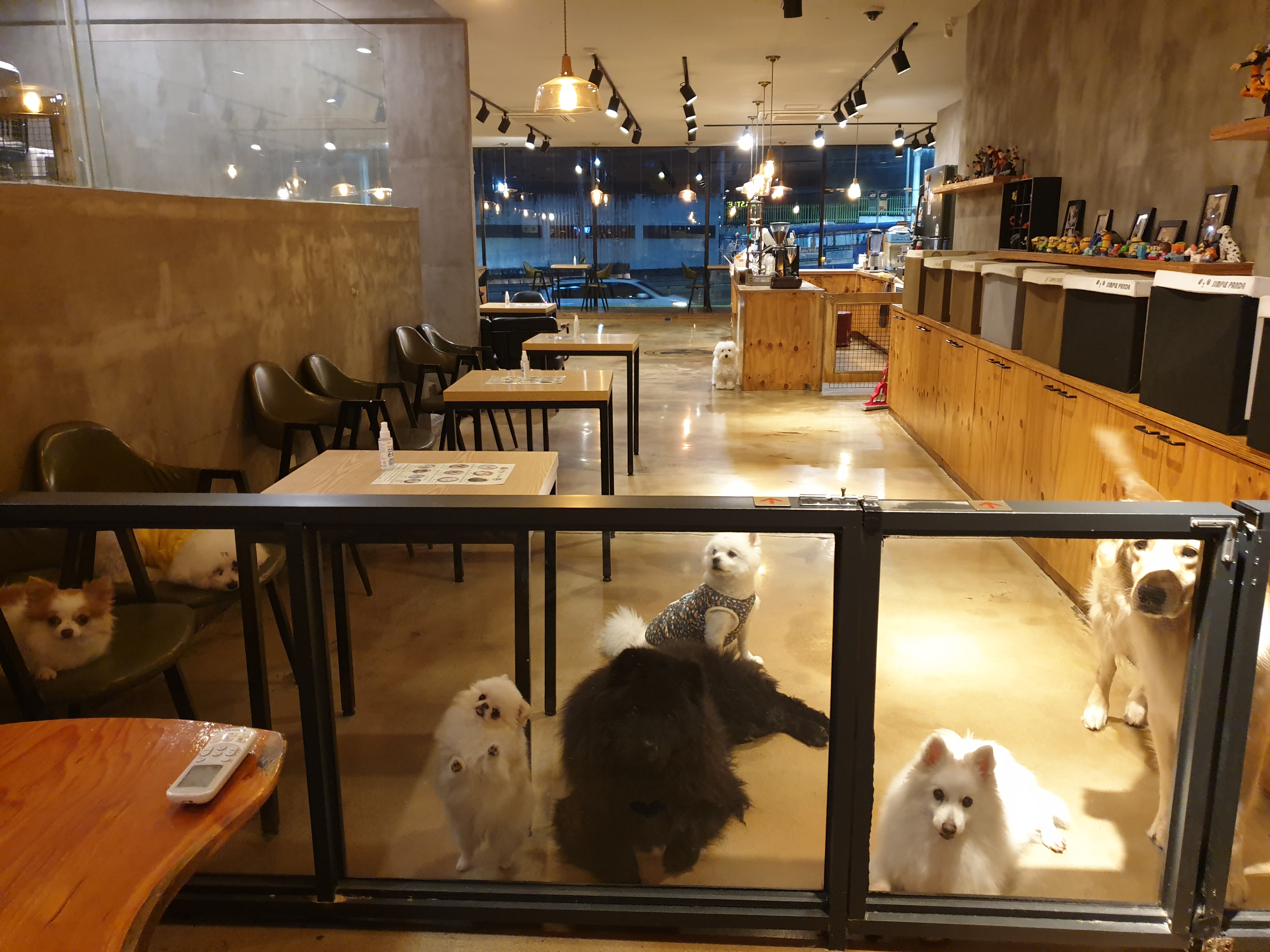 사진 2