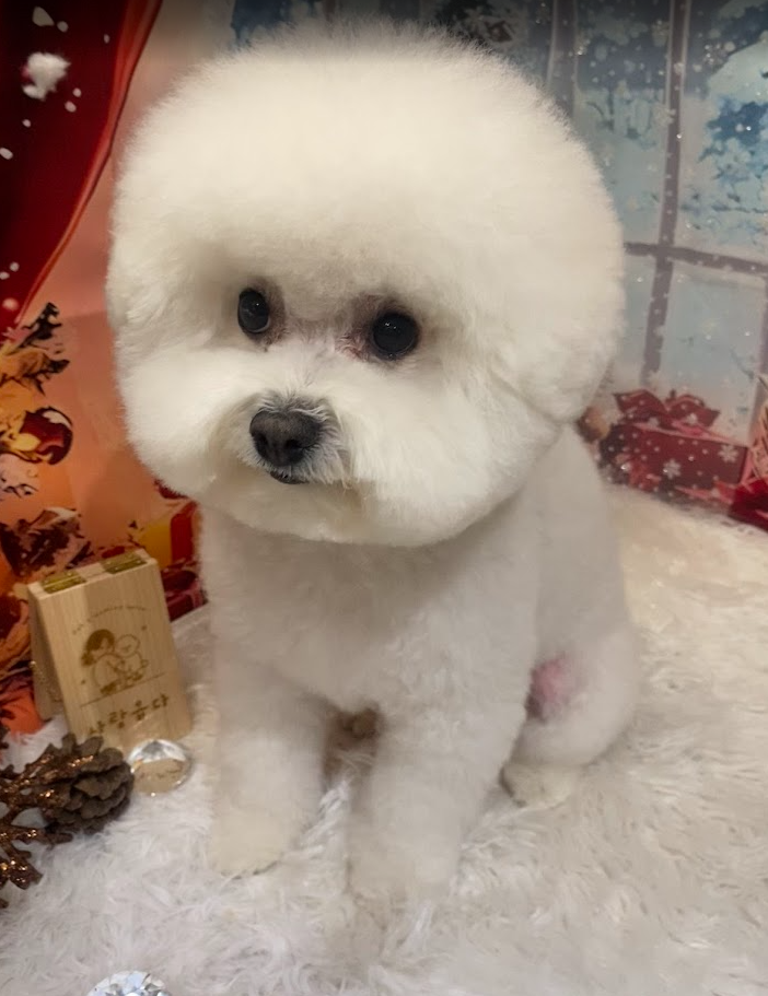 사랑옵다 대표 이미지