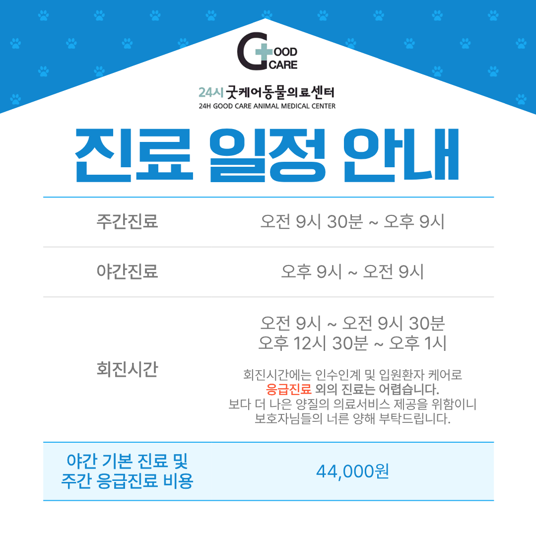 24시 굿케어동물의료센터 대표 이미지