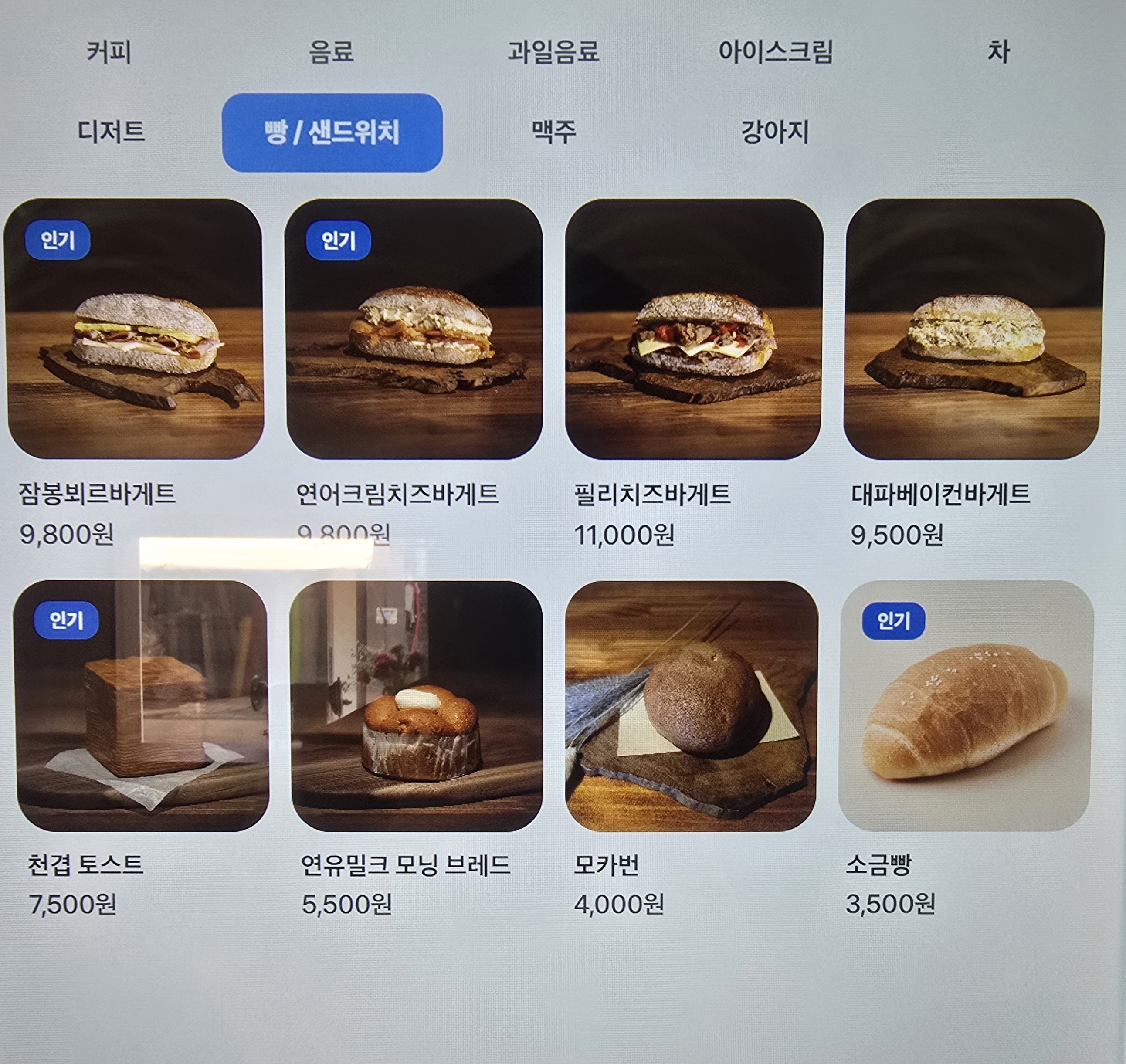 카페 속리 반려동물 동반 애견카페