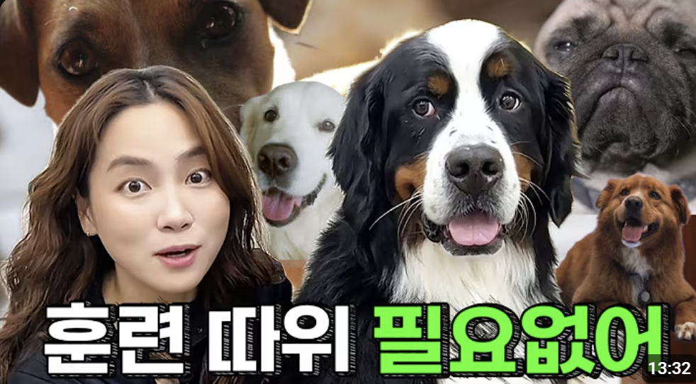 도킹어바웃 대표 이미지