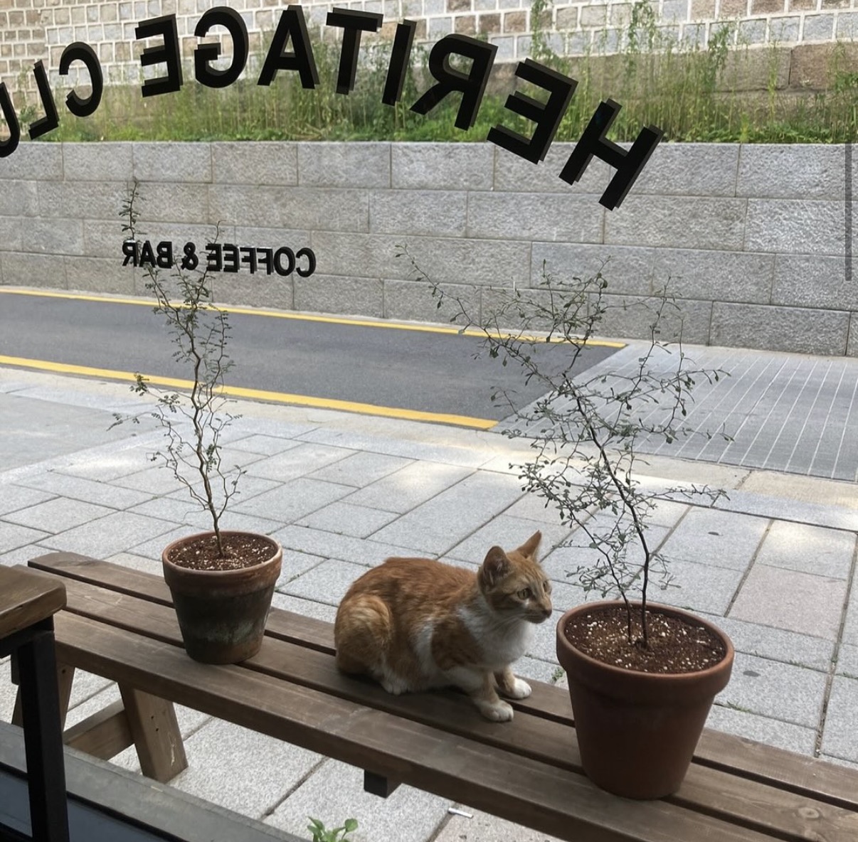 헤리티지클럽