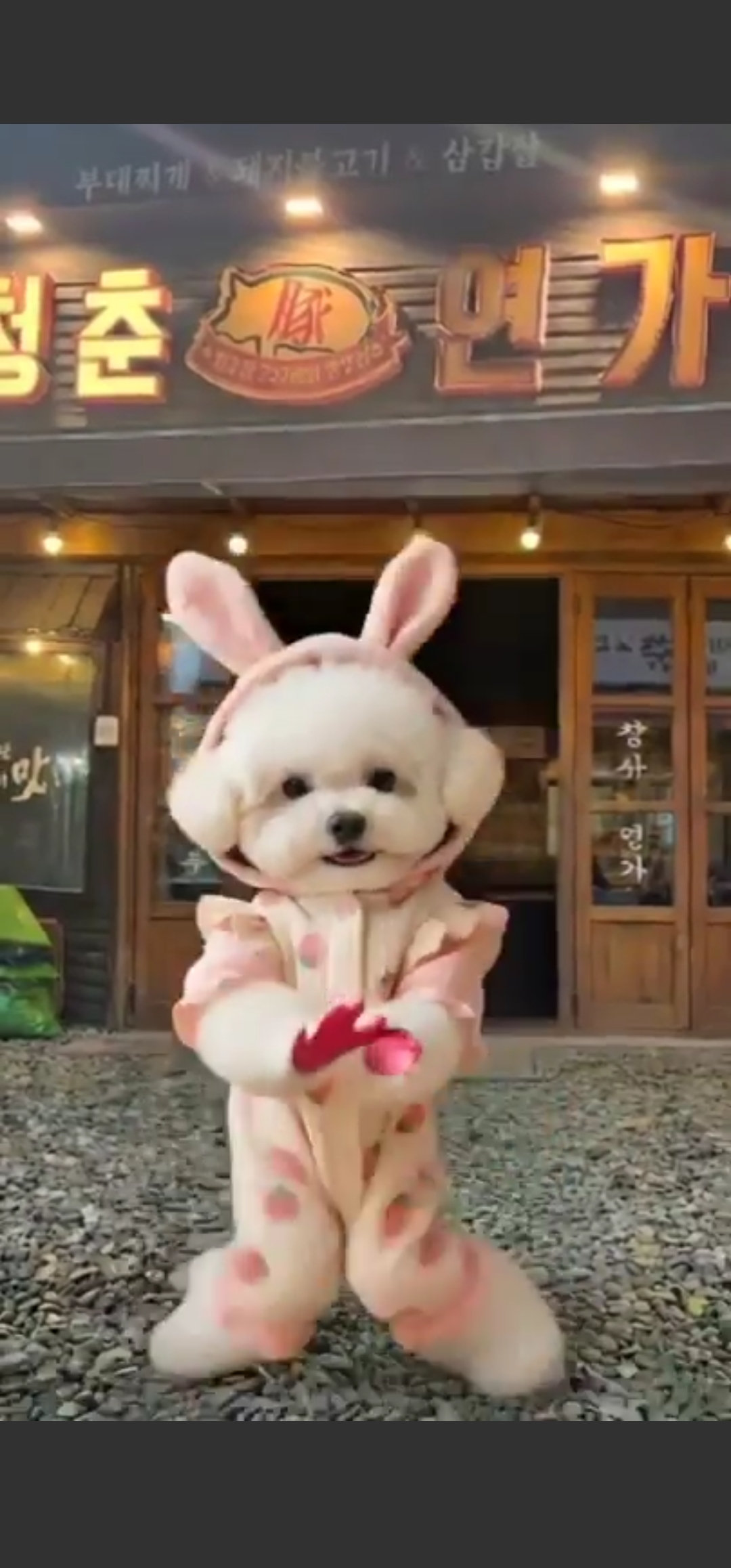청춘연가 포항송도점 6