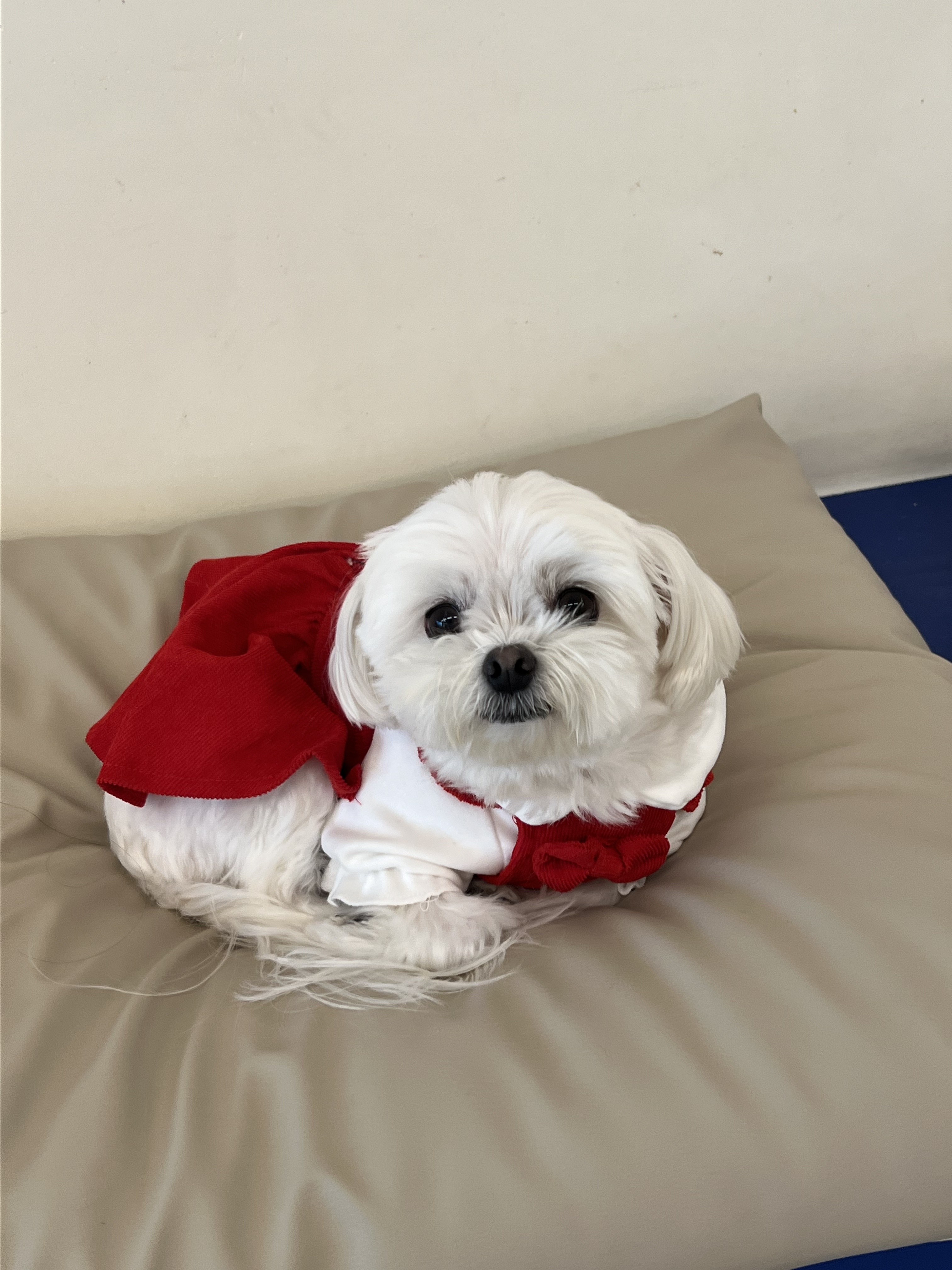 플라이투더뭉 대표 이미지