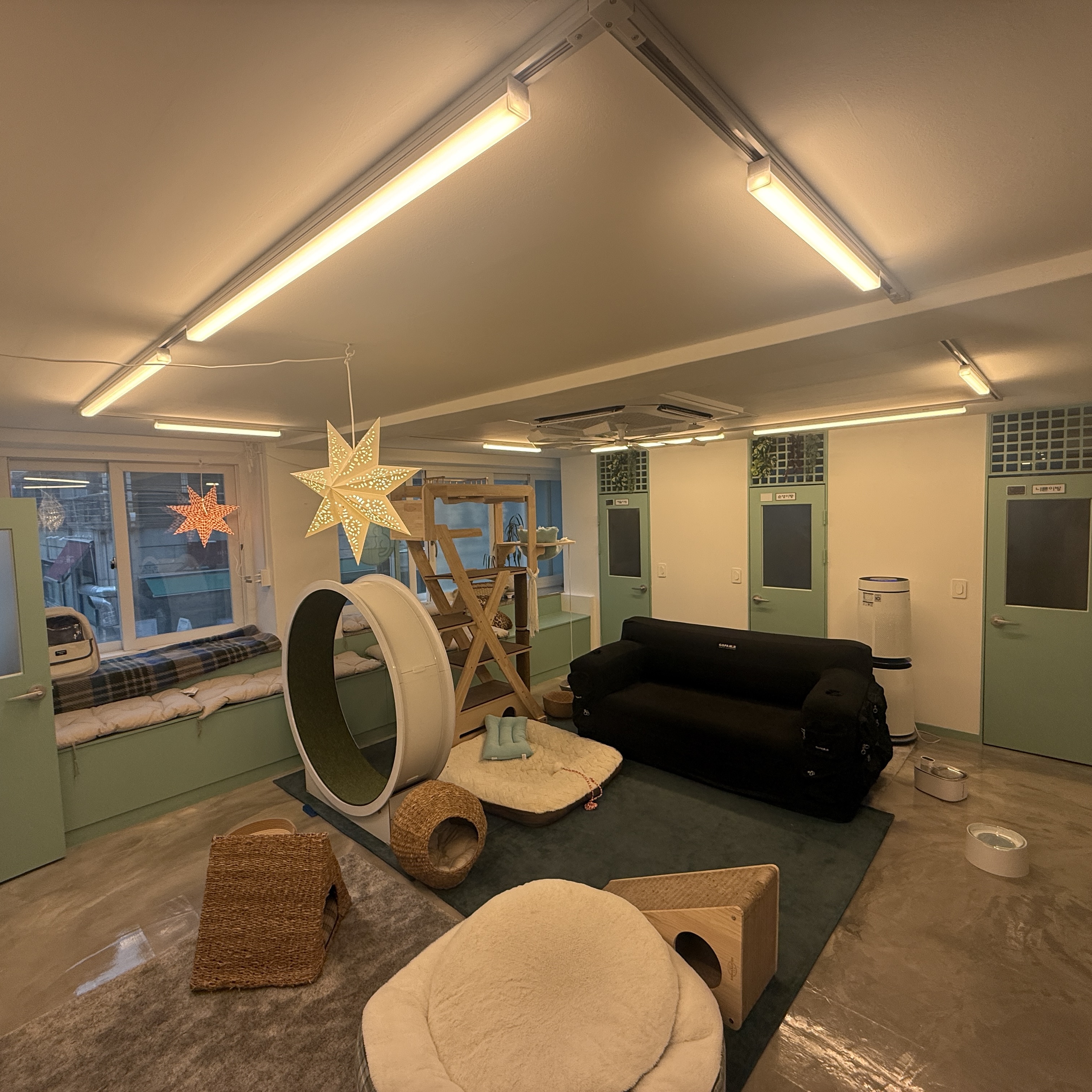 숲냥숲냥 대표 이미지