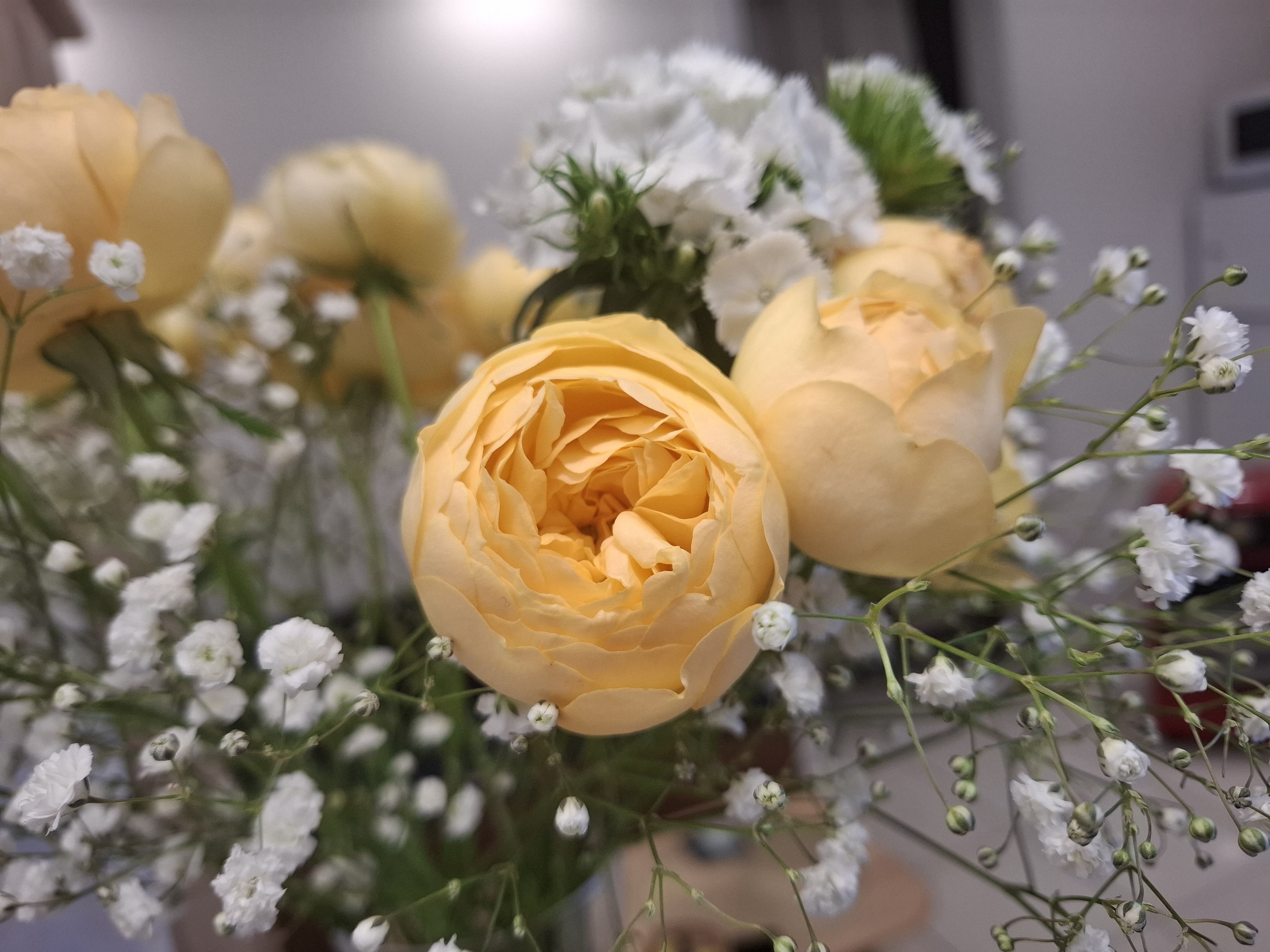 금손아로마 photo 8