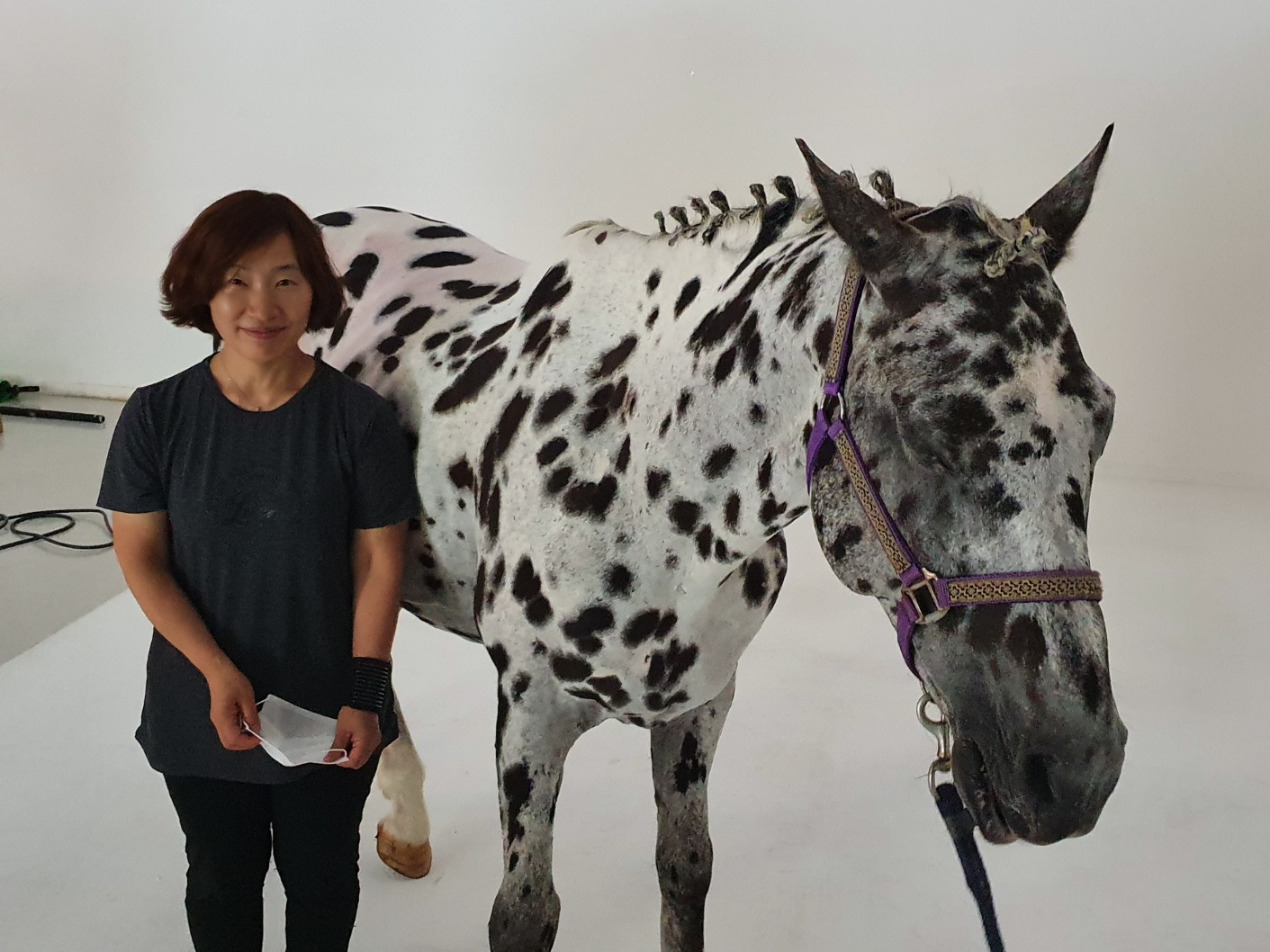 하남애견훈련소 대표 이미지