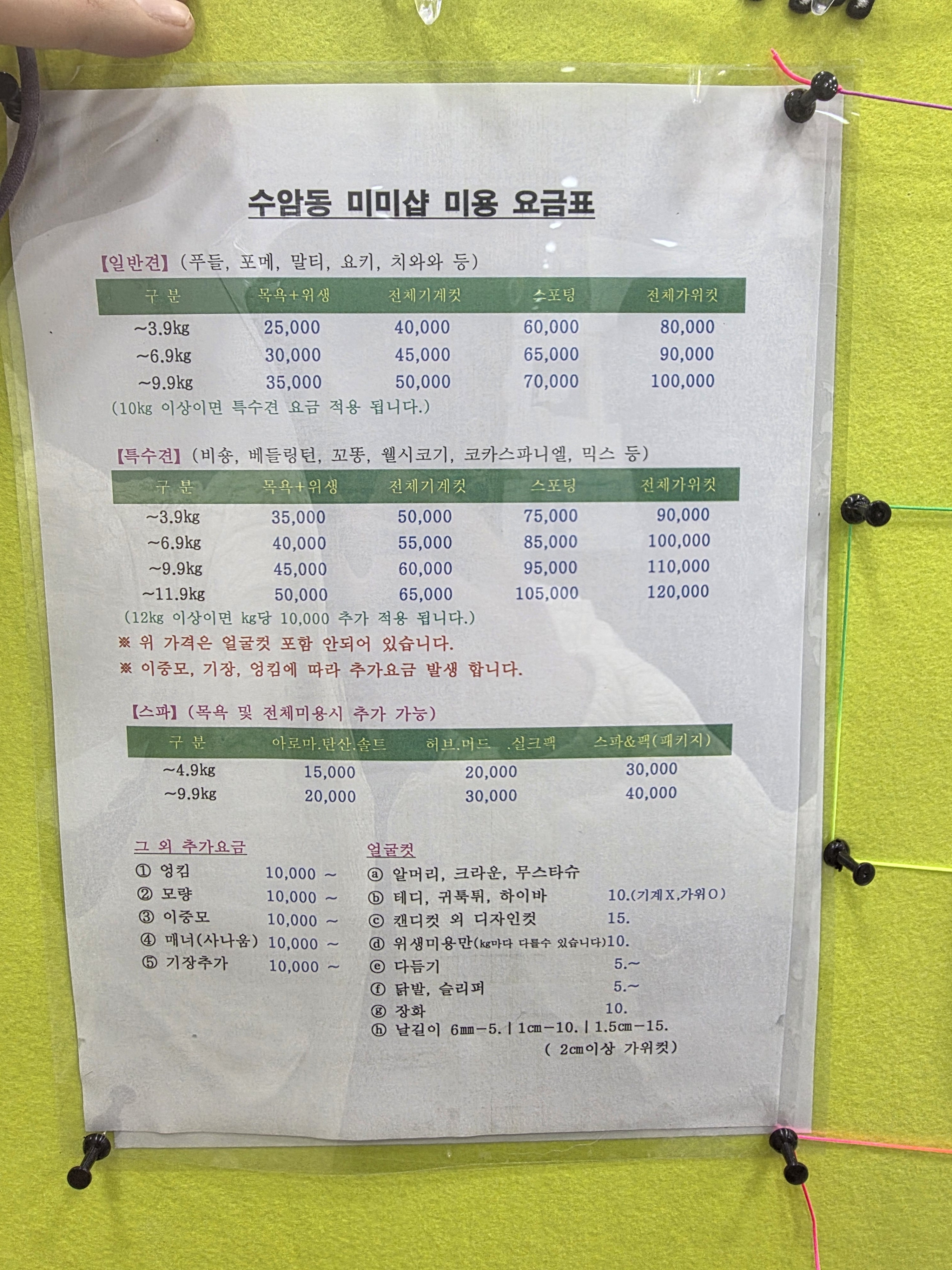 미미애견샵 대표 이미지