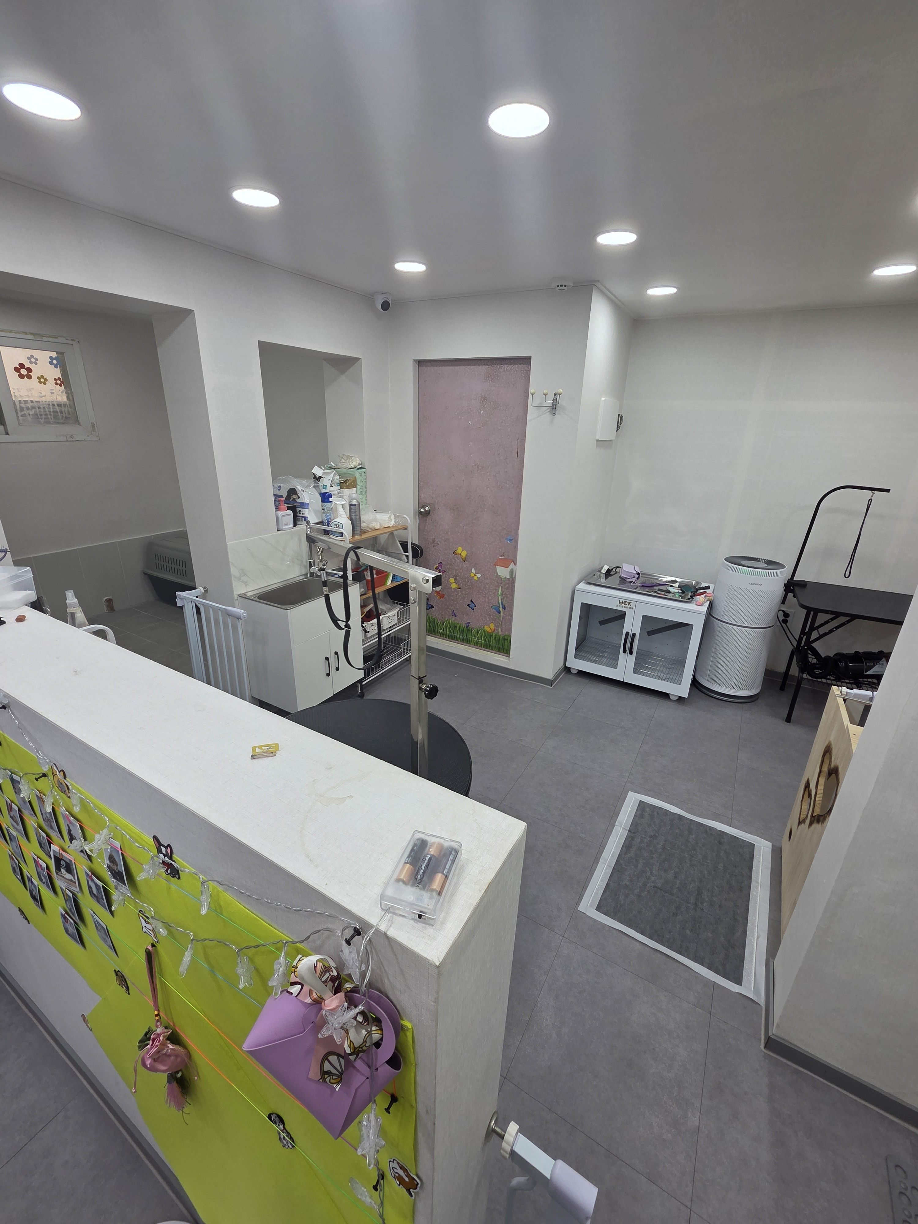 미미애견샵 대표 이미지