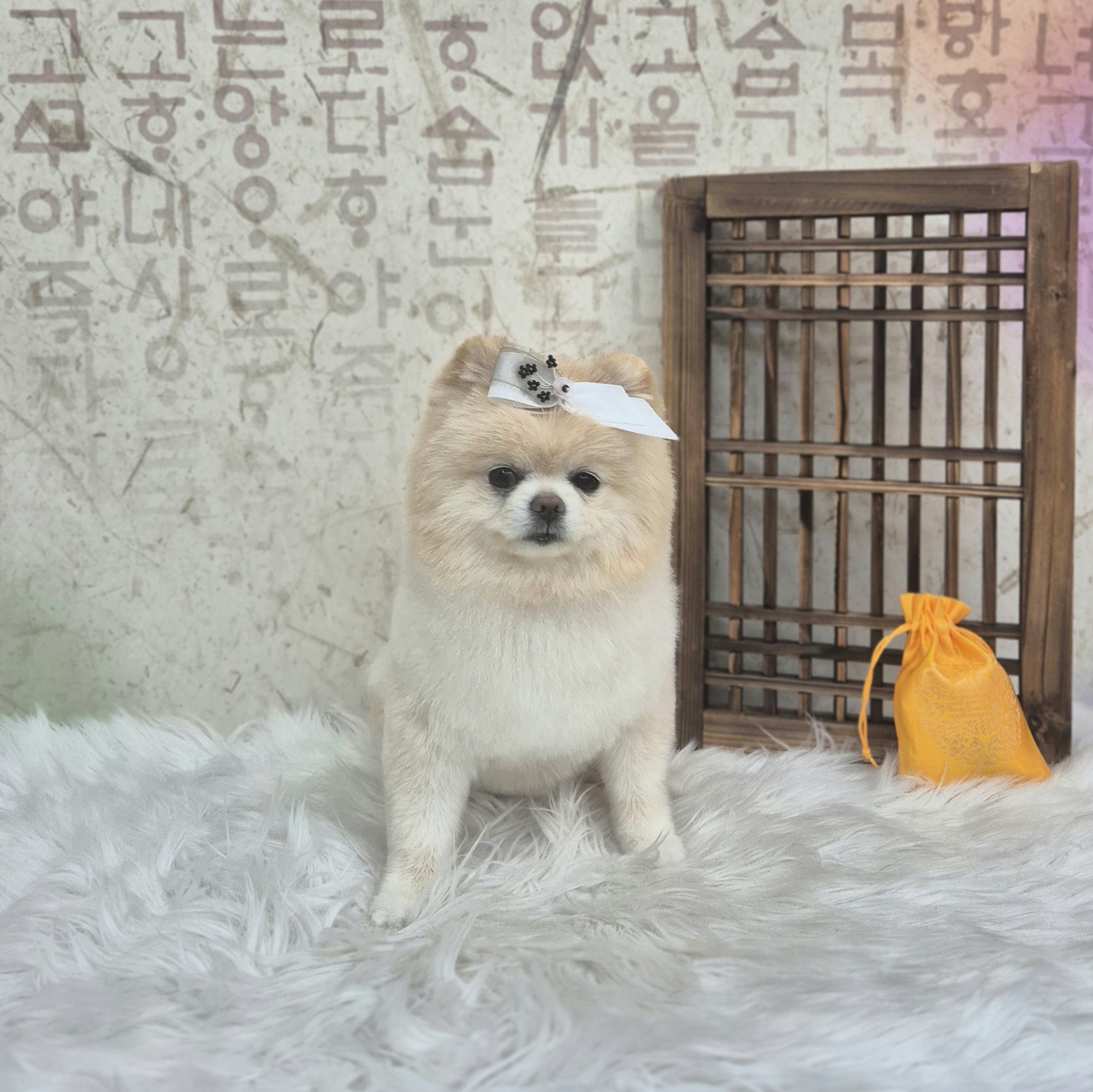 단디단디 대표 이미지