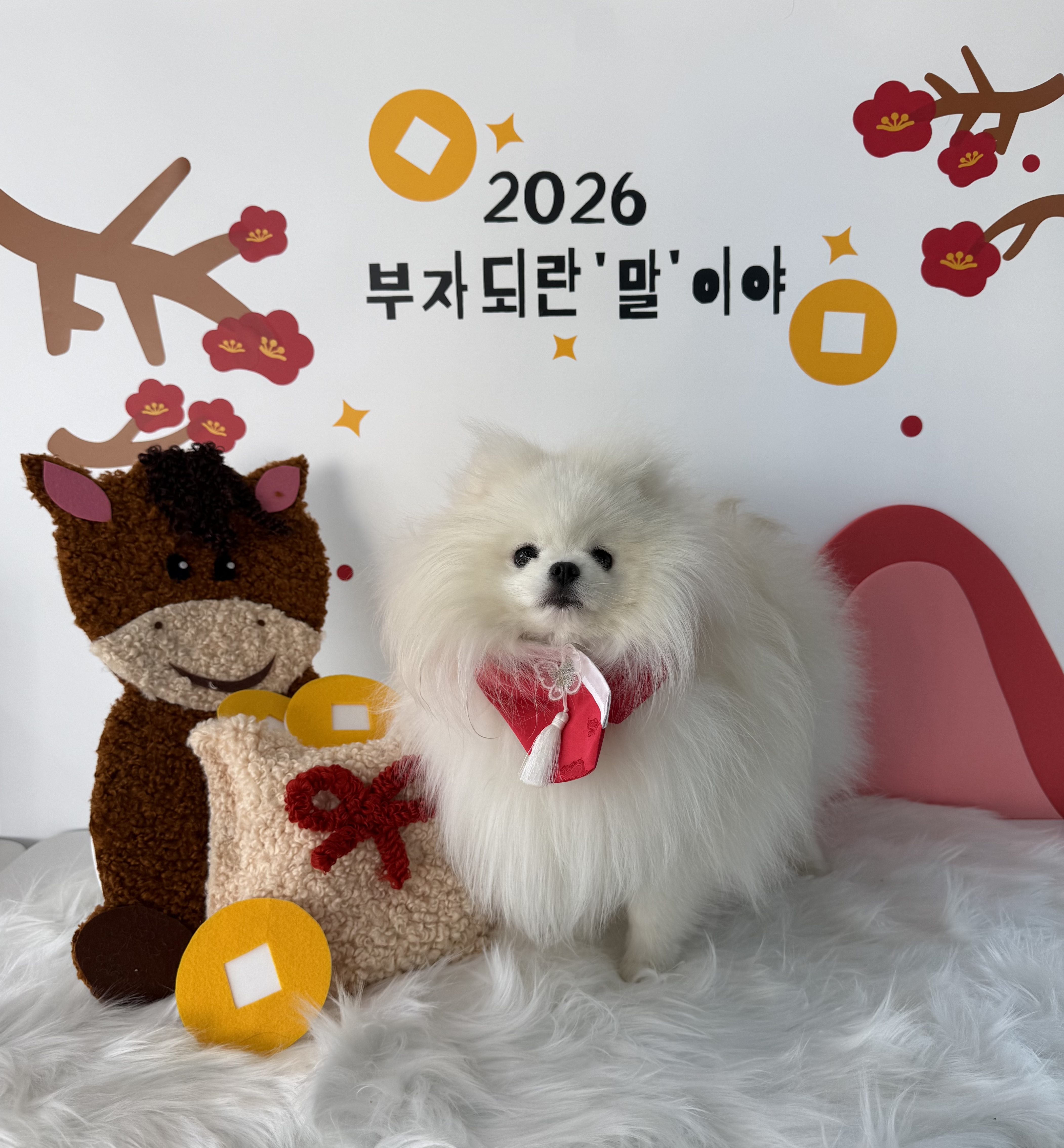 댕놀이터 대표 이미지