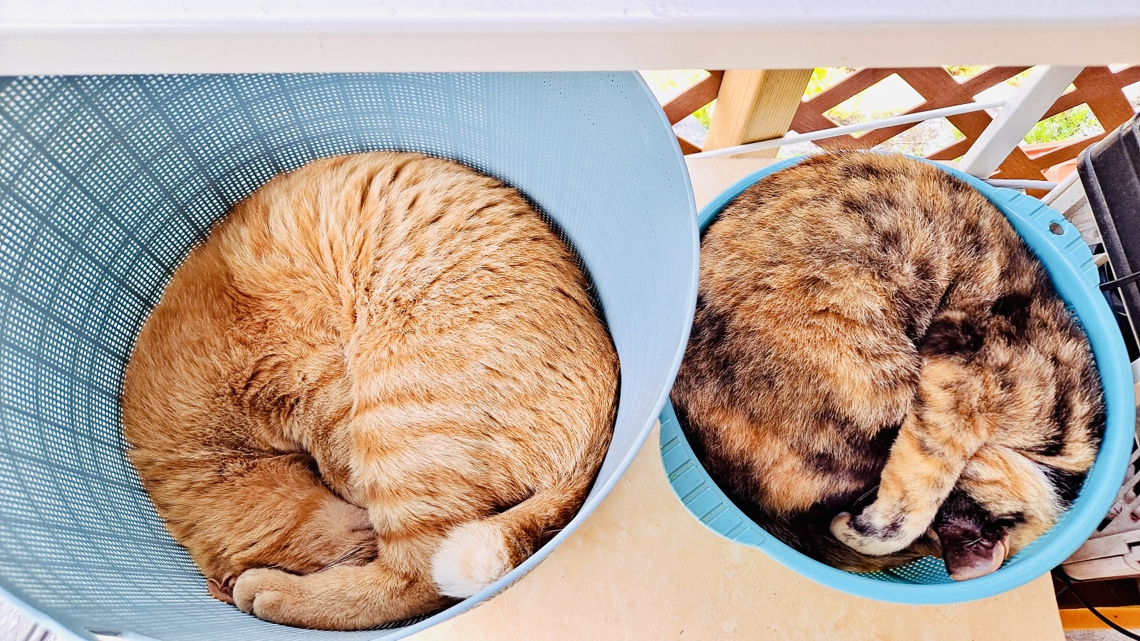 하늘숲황토펜션 대표 이미지