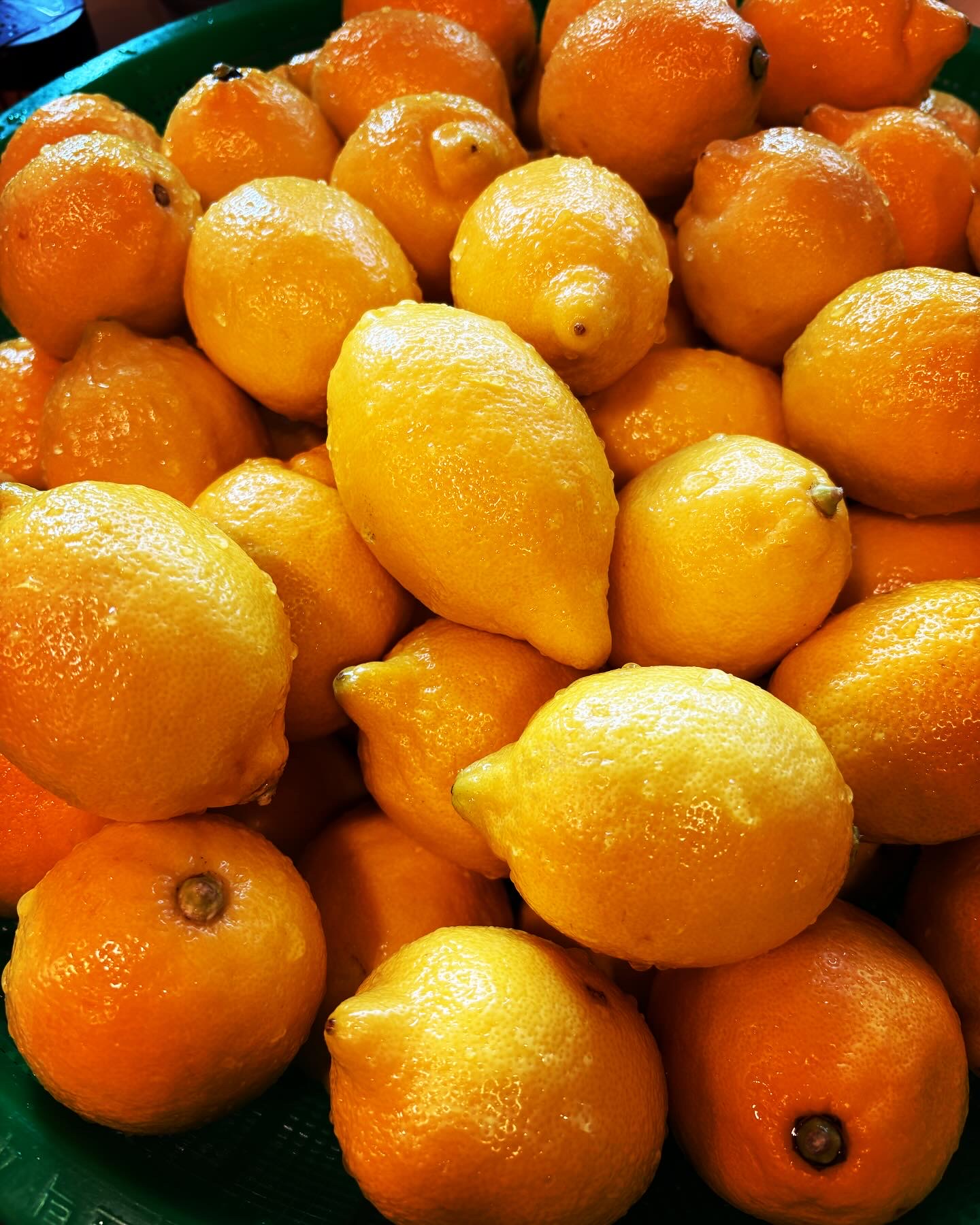 카페청 5