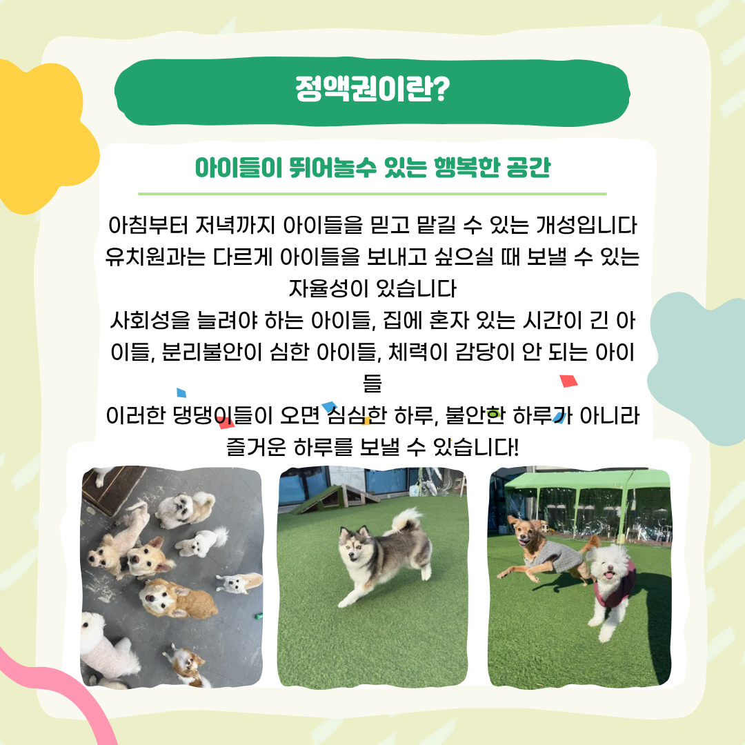 개성애견카페 애견호텔 애견놀이방 2