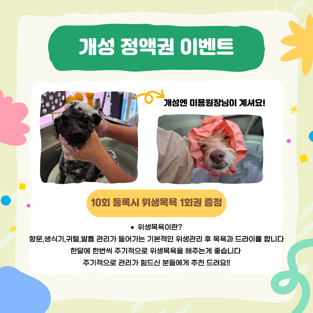개성애견카페 애견호텔 애견놀이방 반려동물 동반 애견카페