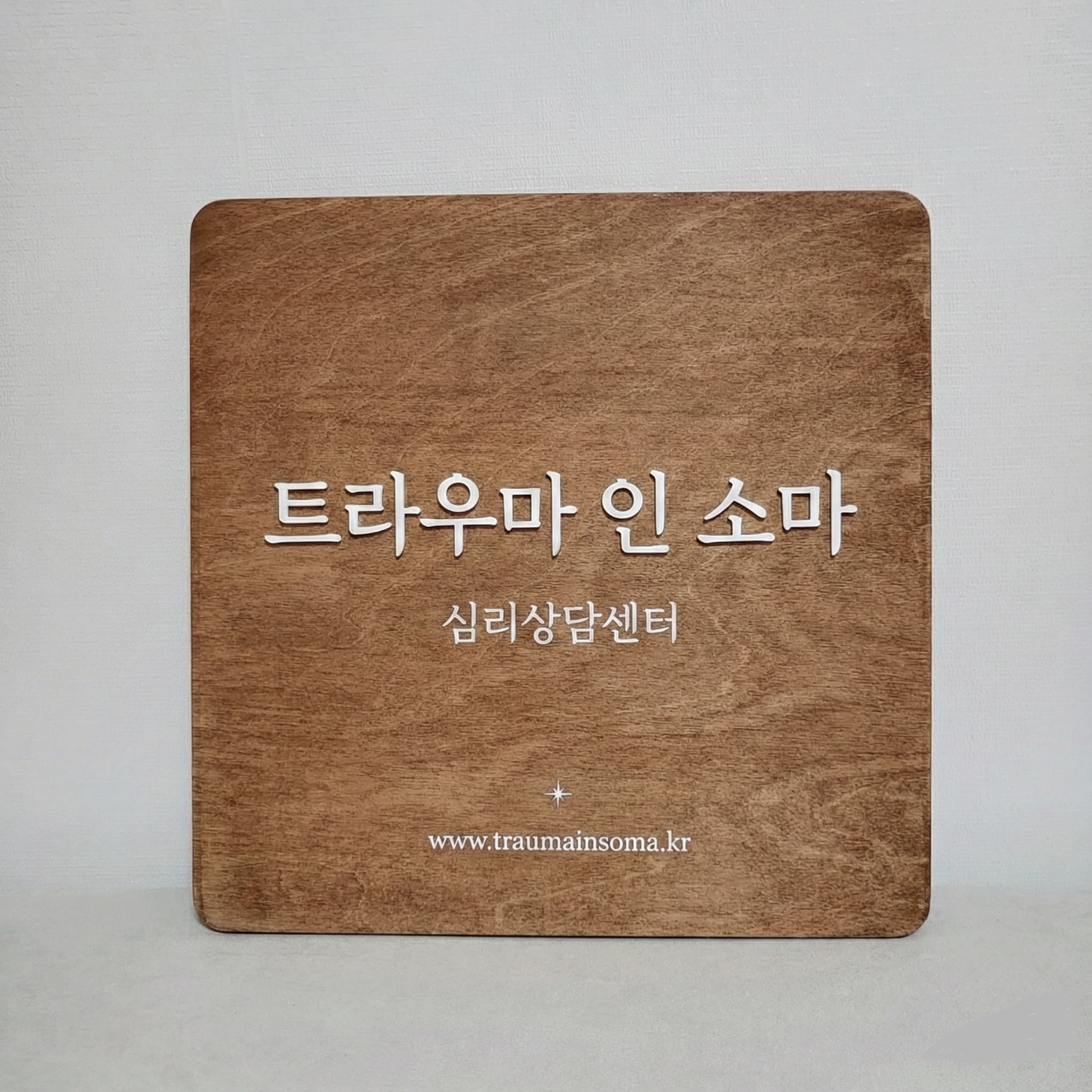 트라우마 인 소마 대표 이미지