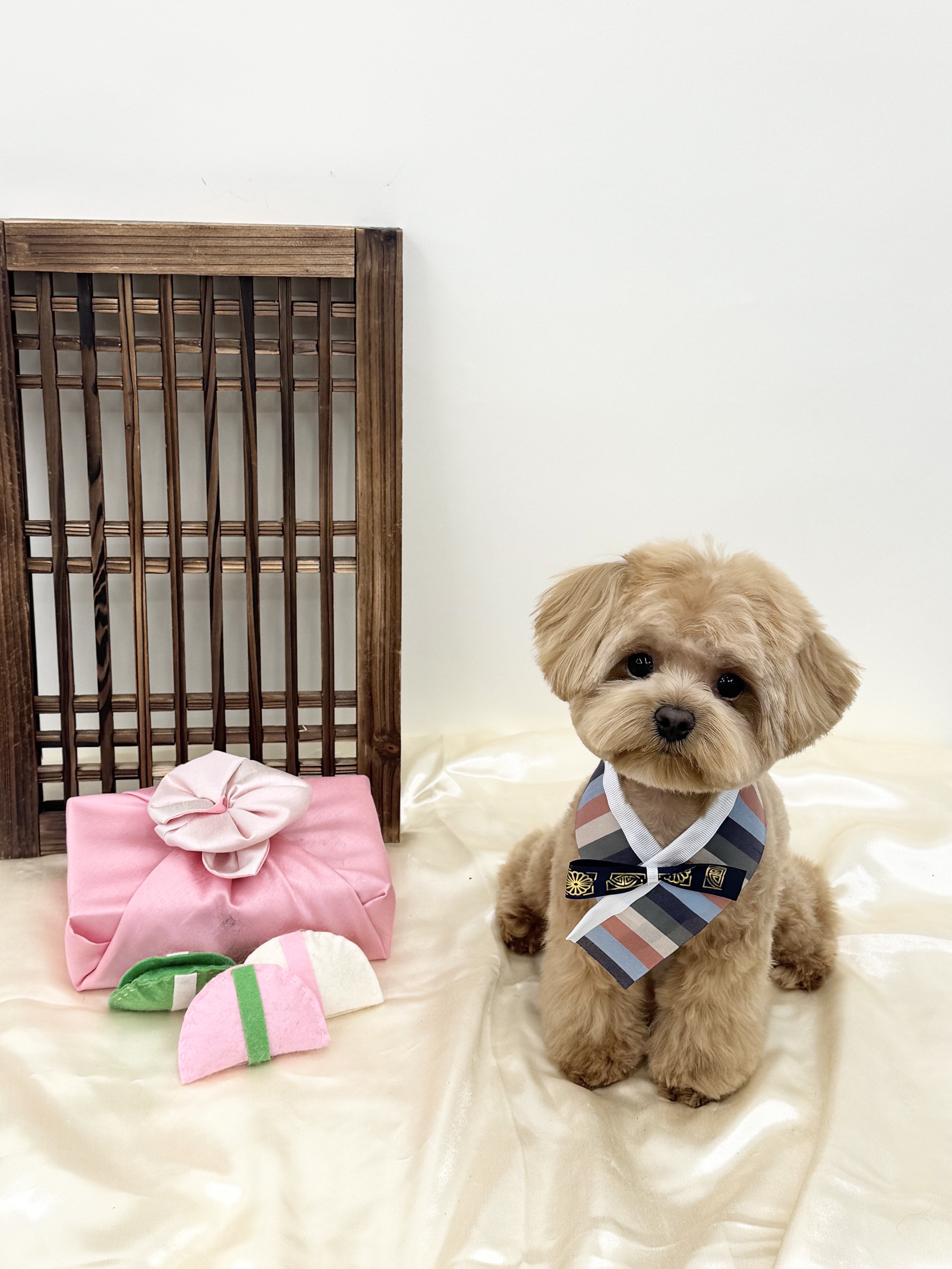 엔젤라독 대표 이미지