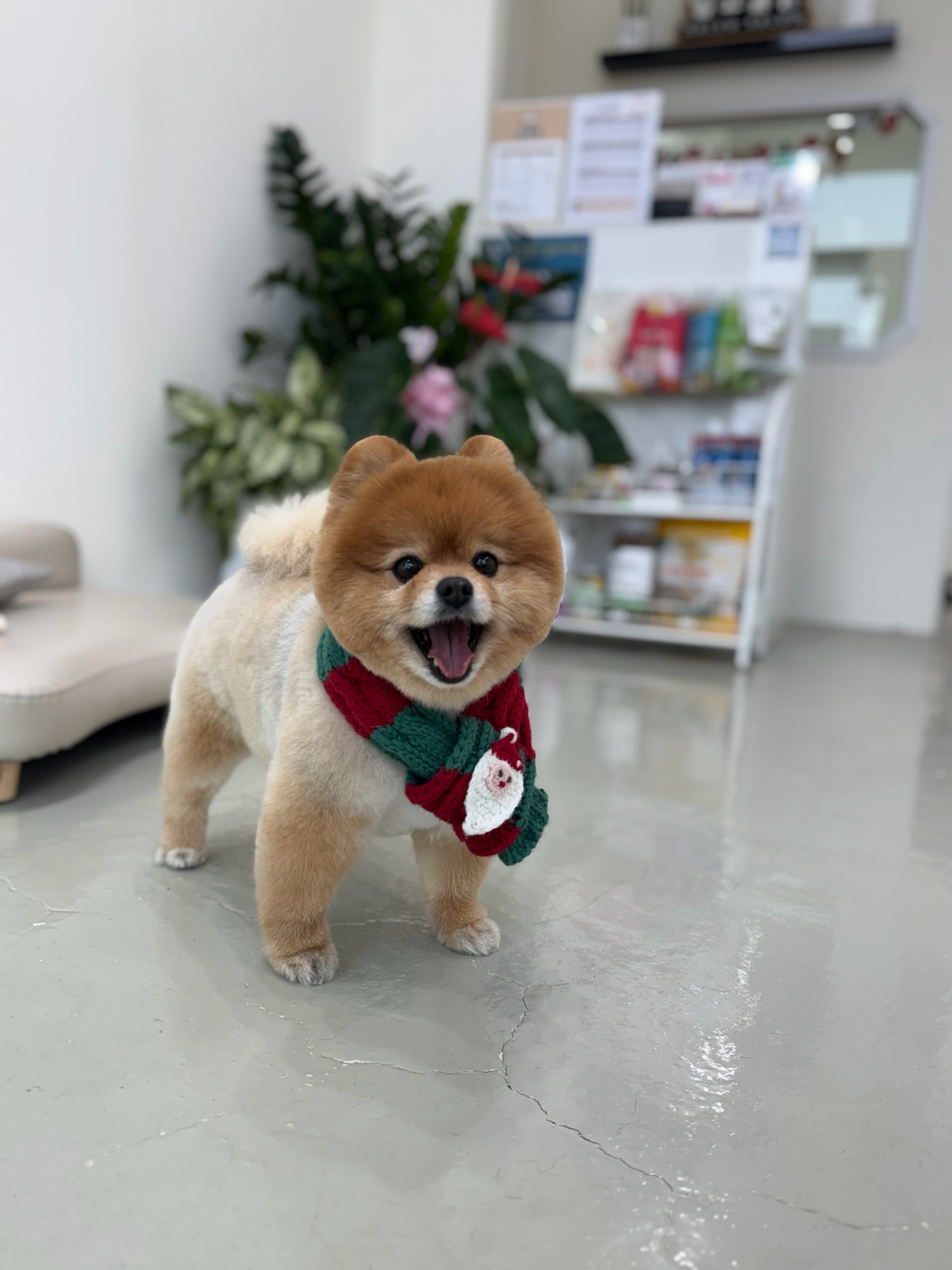 달코살롱 대표 이미지