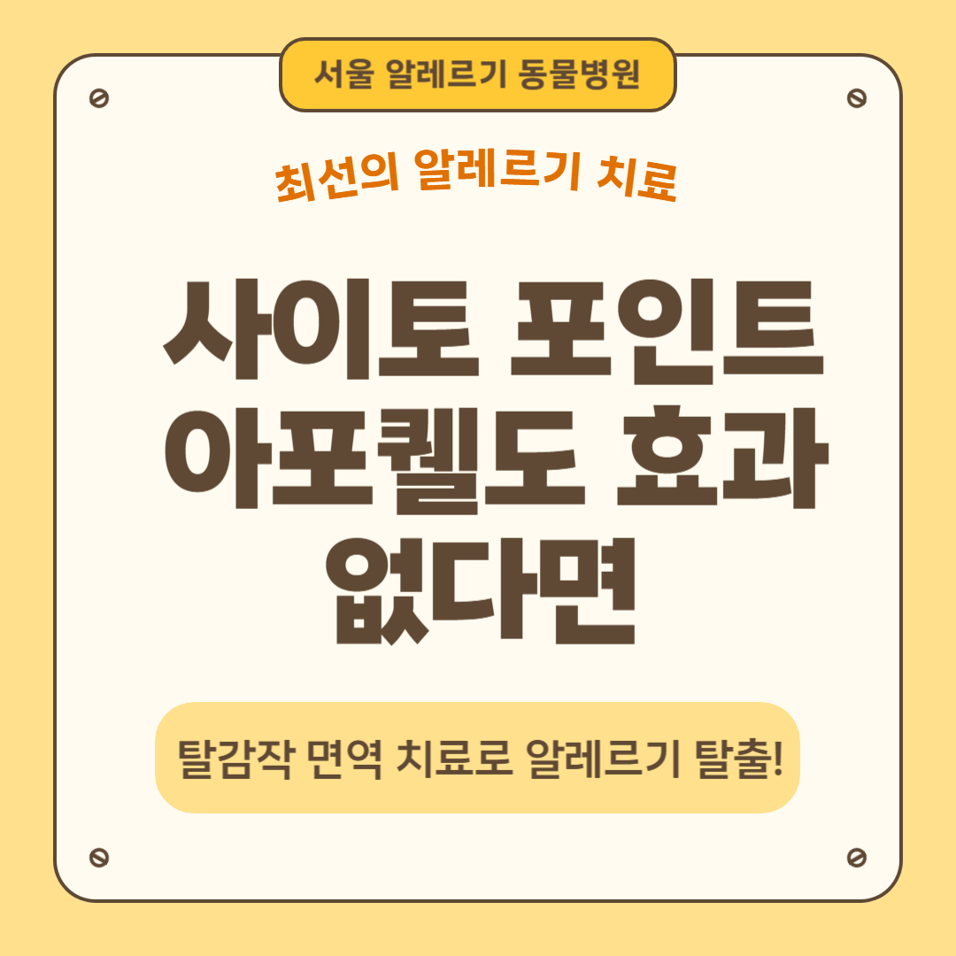 서울알레르기동물병원 대표 이미지